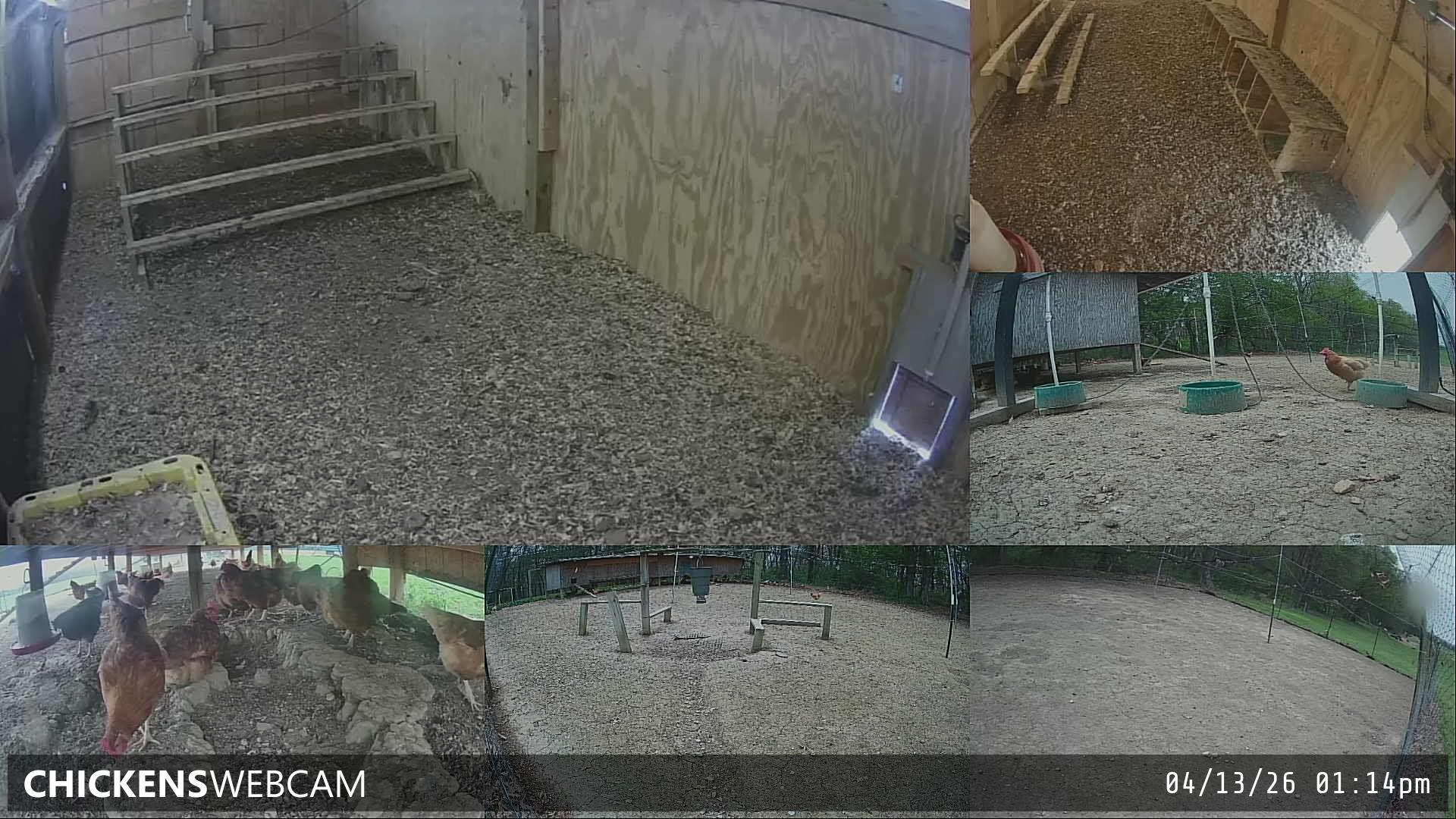 Twitch Stream Preview