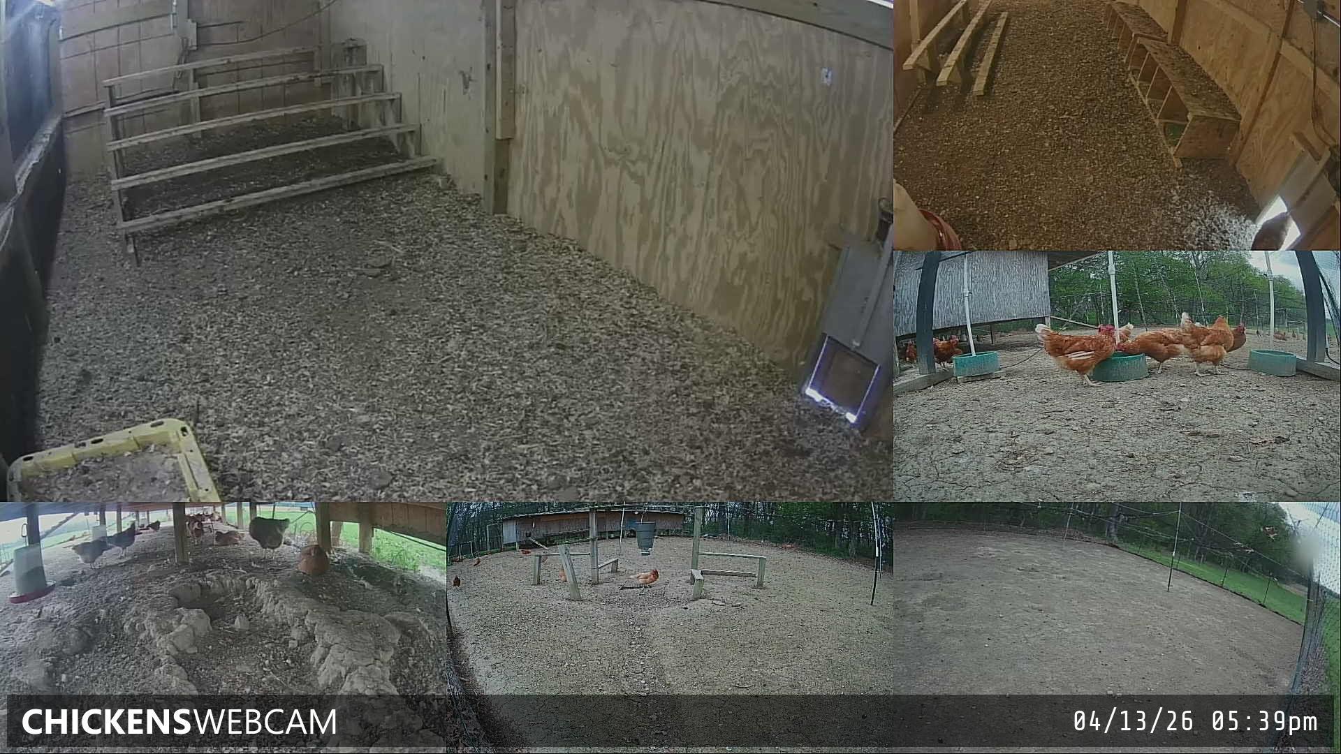 Twitch Stream Preview