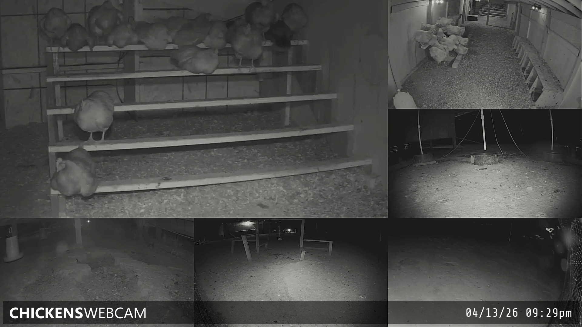 Twitch Stream Preview