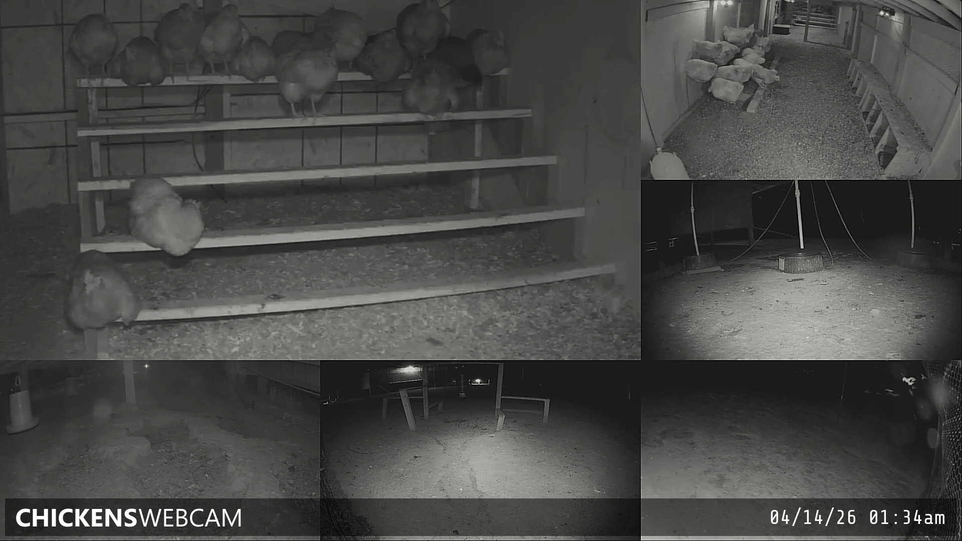 Twitch Stream Preview