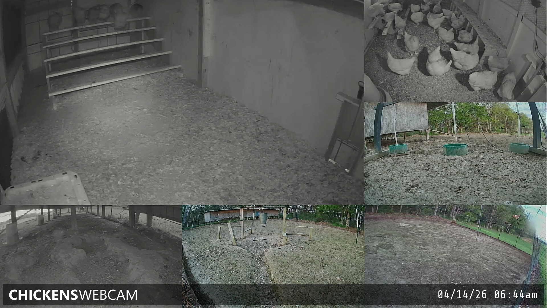 Twitch Stream Preview