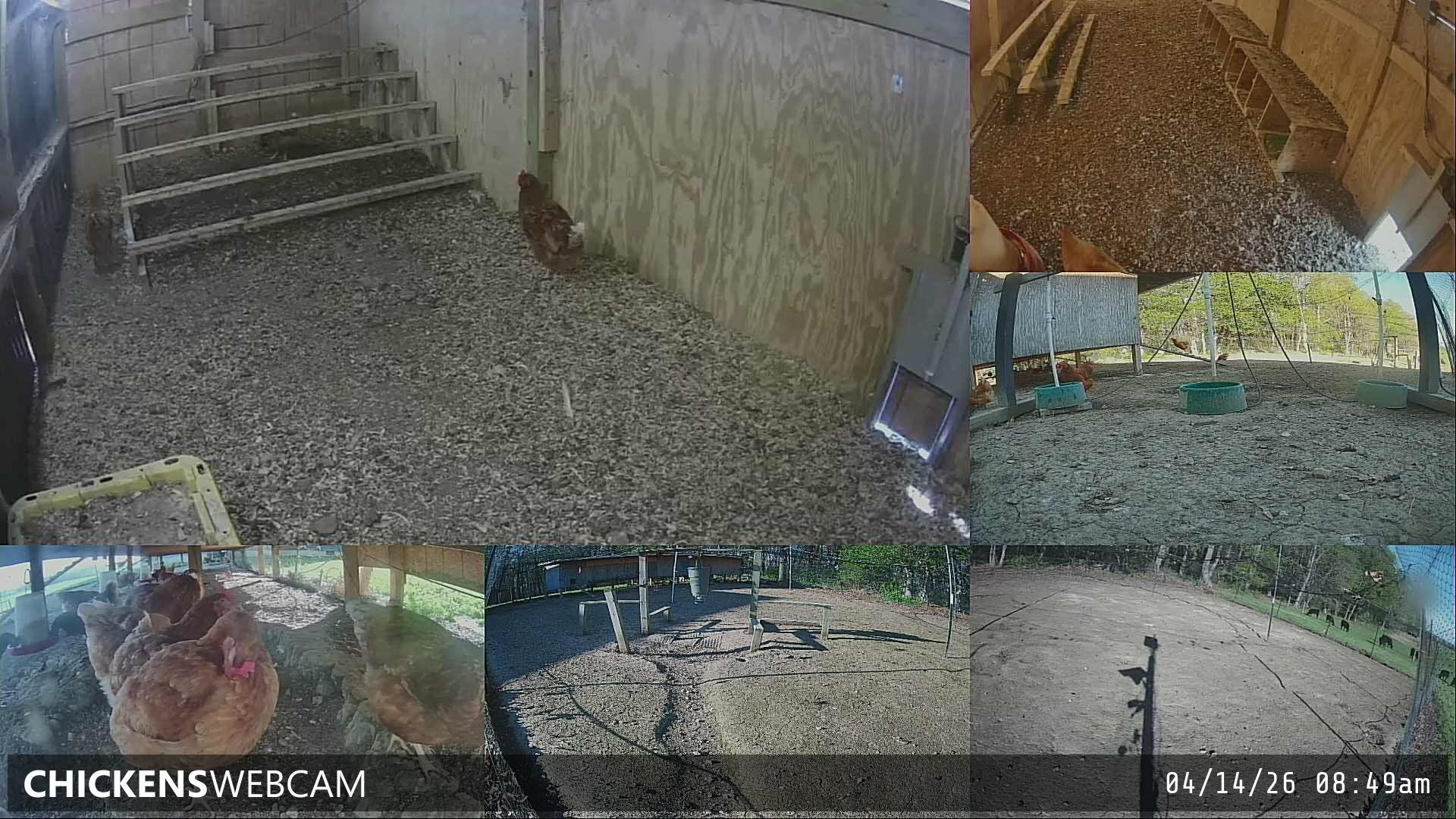 Twitch Stream Preview