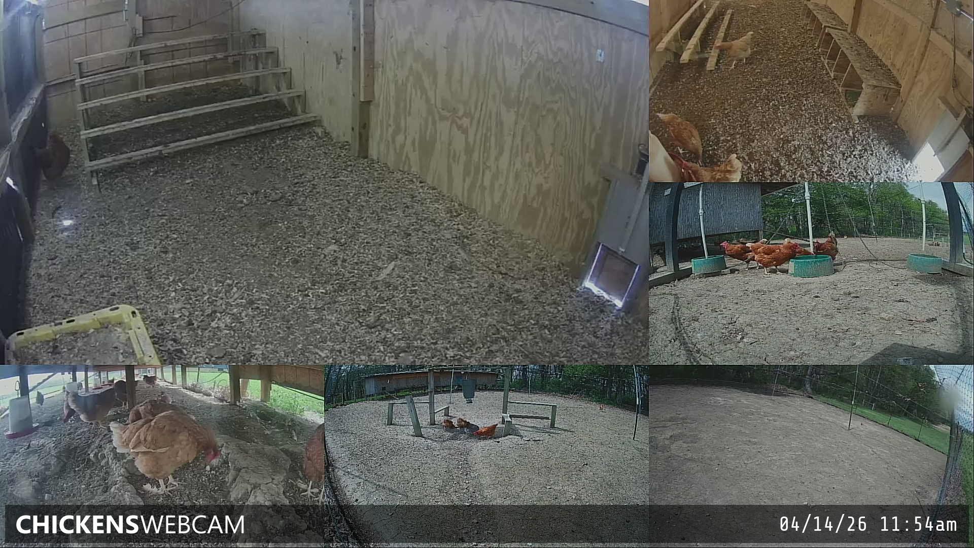 Twitch Stream Preview