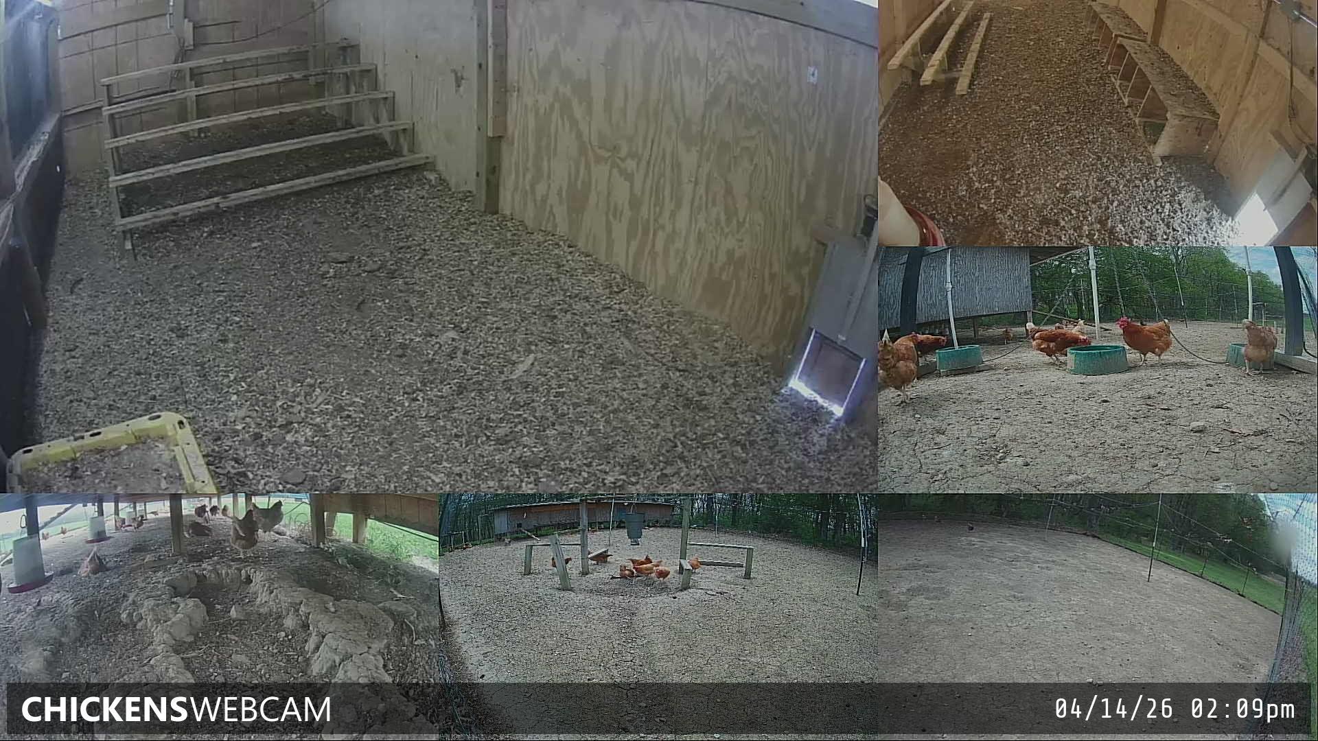 Twitch Stream Preview