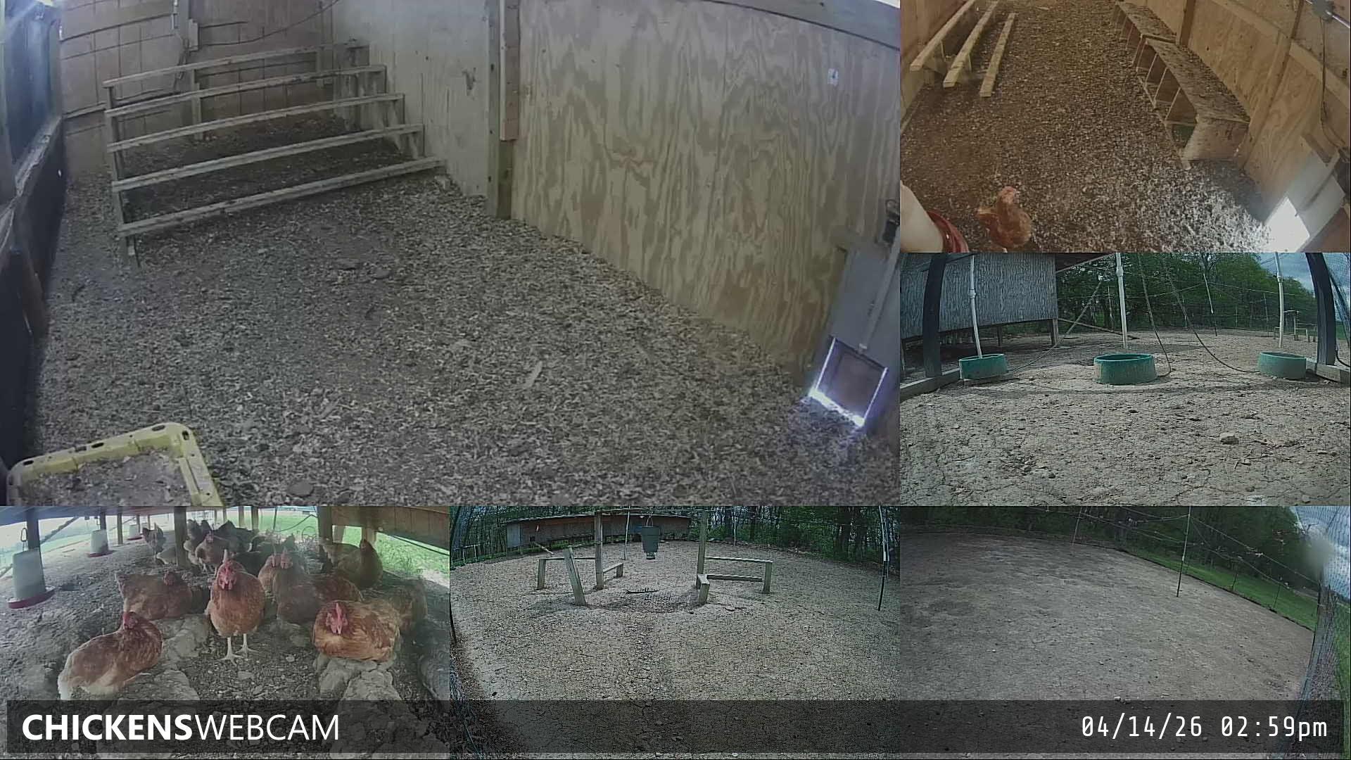 Twitch Stream Preview