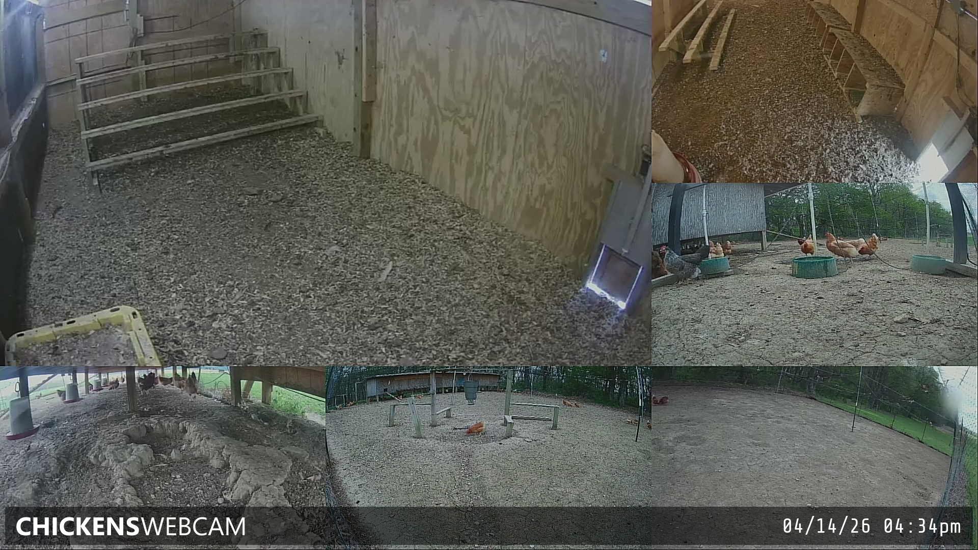 Twitch Stream Preview