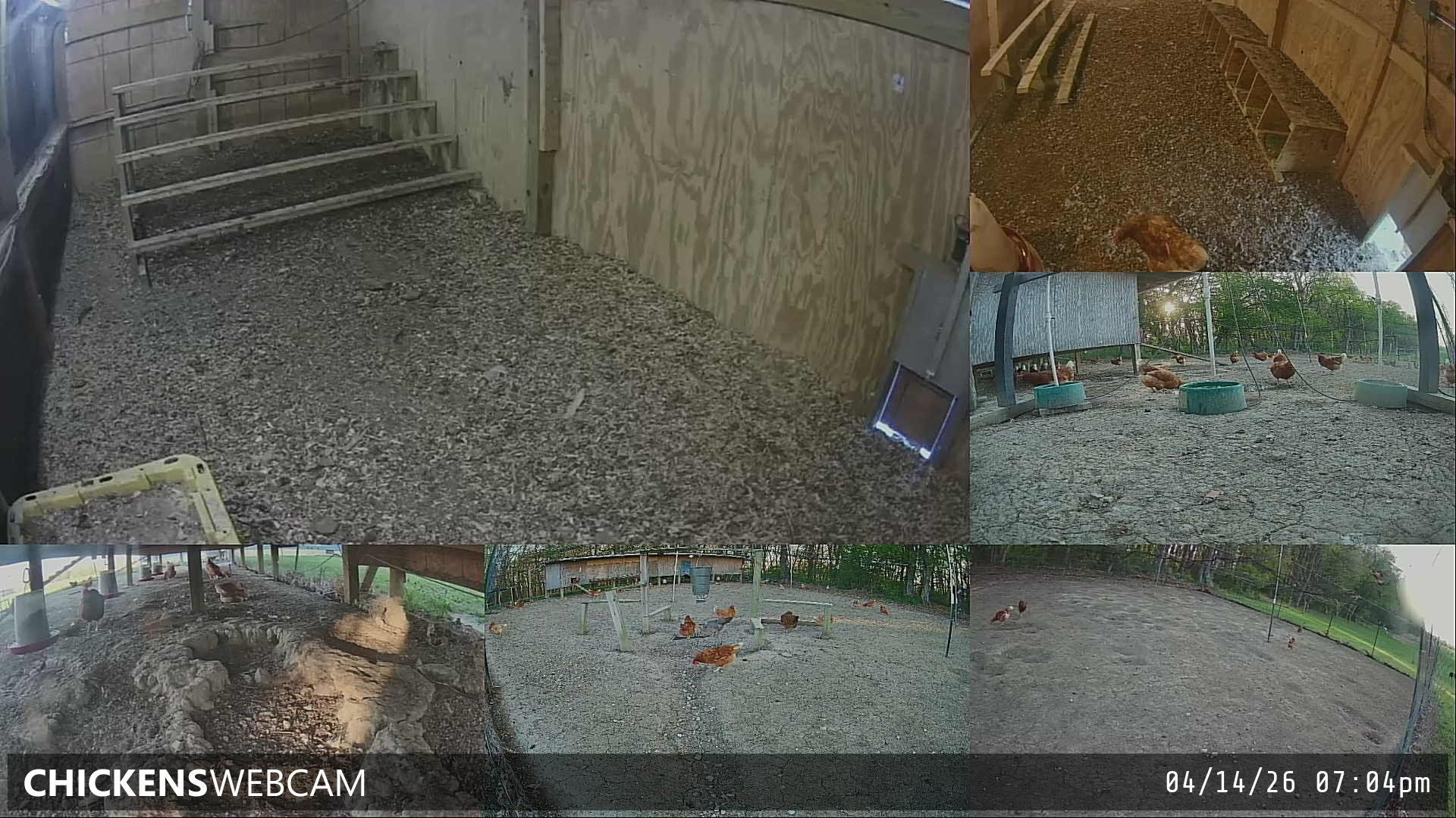 Twitch Stream Preview