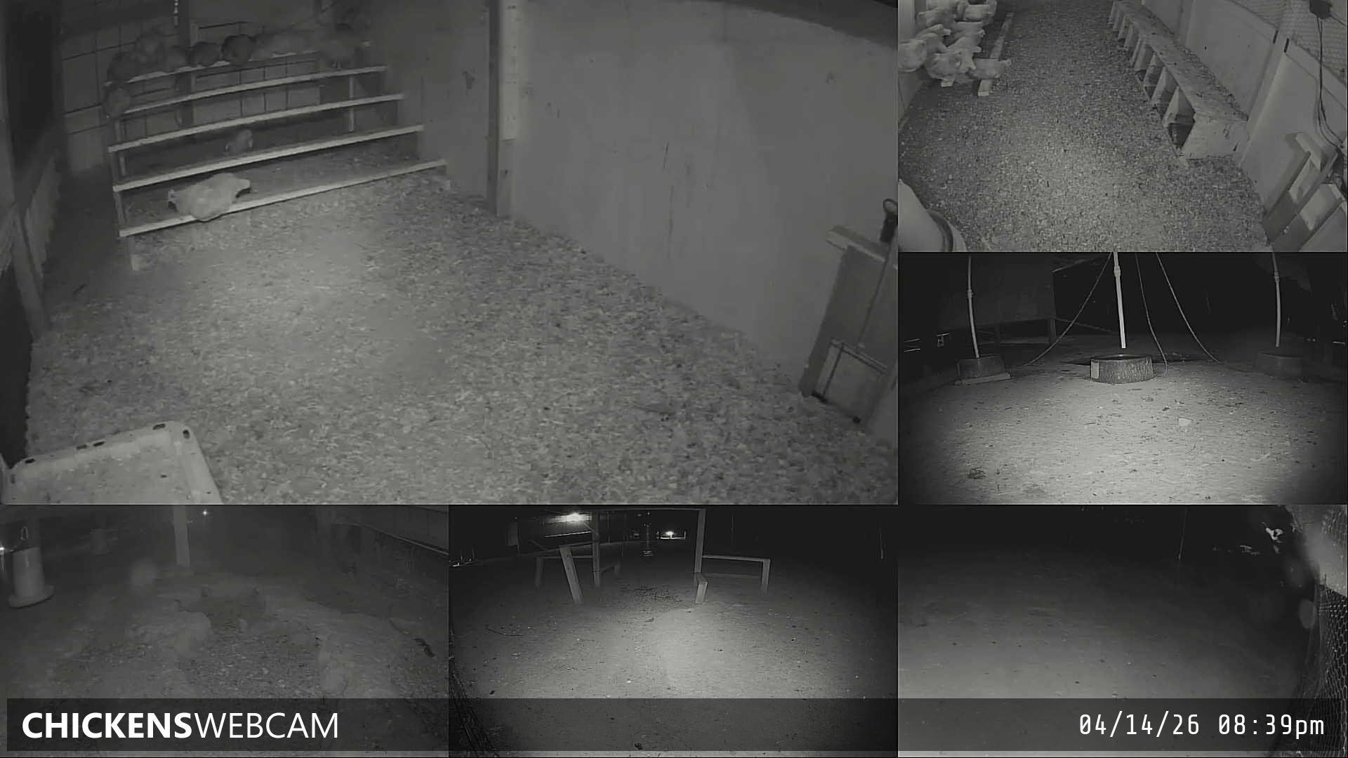 Twitch Stream Preview