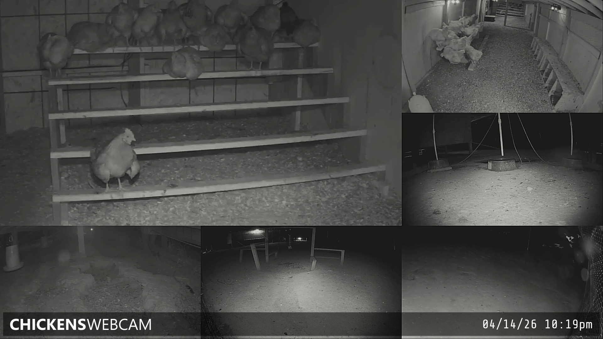 Twitch Stream Preview