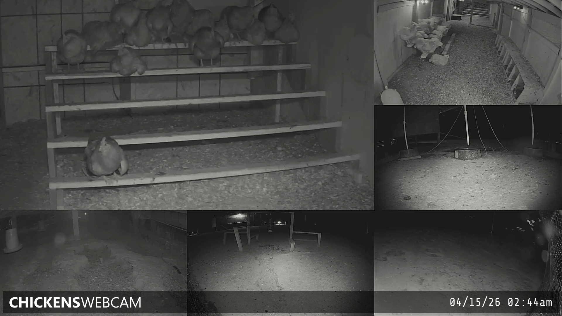 Twitch Stream Preview