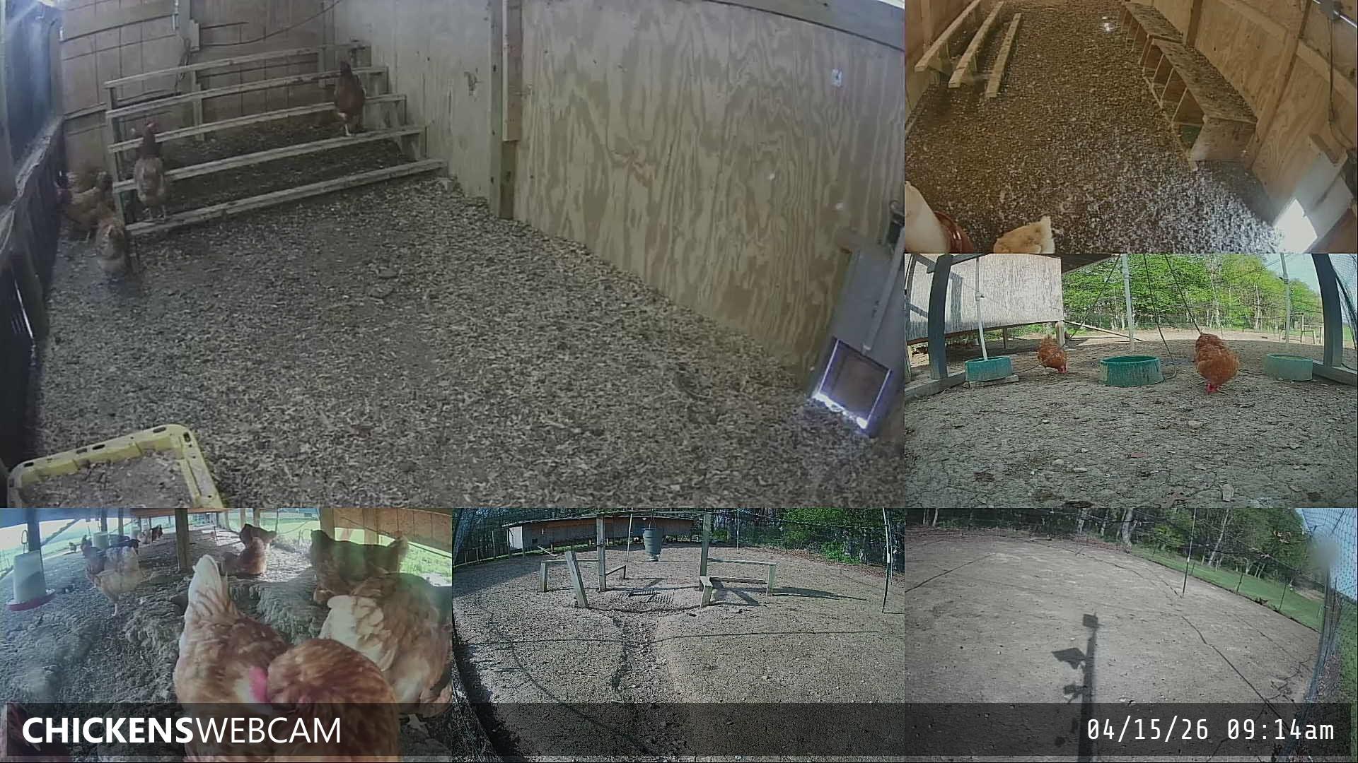 Twitch Stream Preview