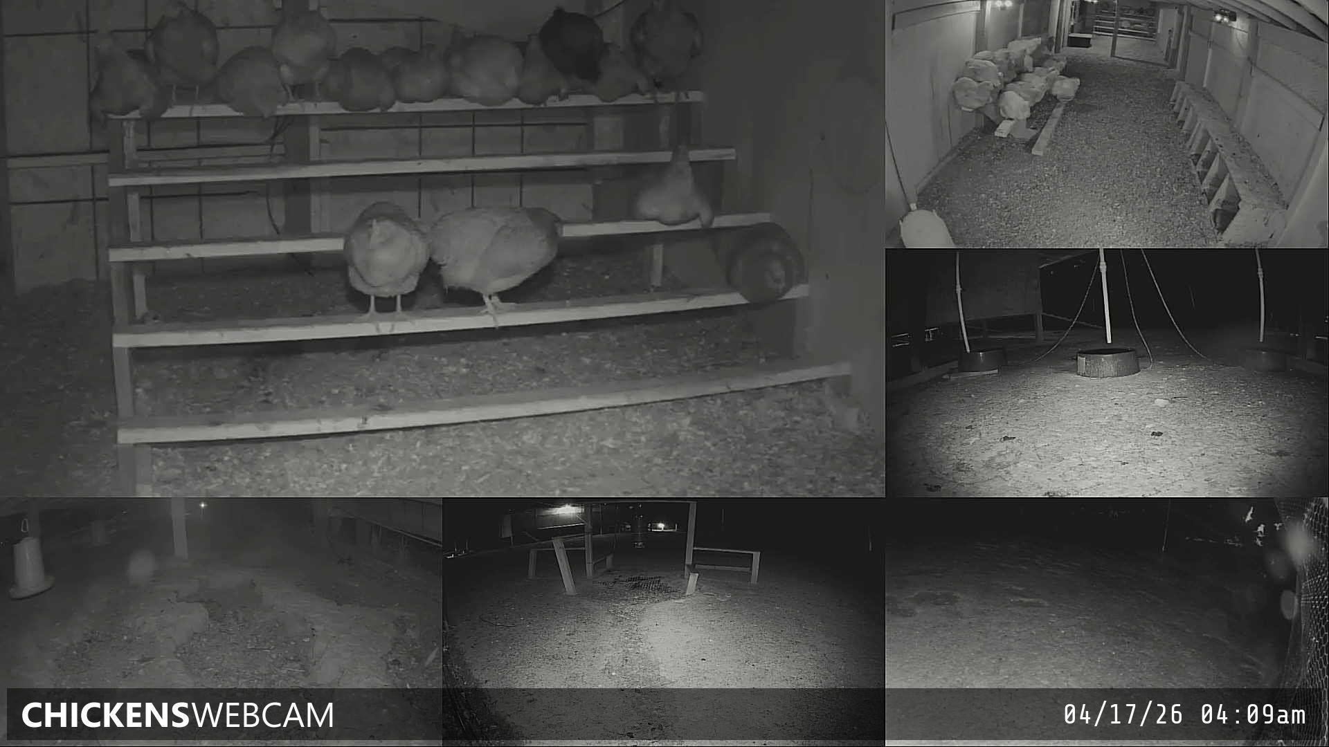 Twitch Stream Preview