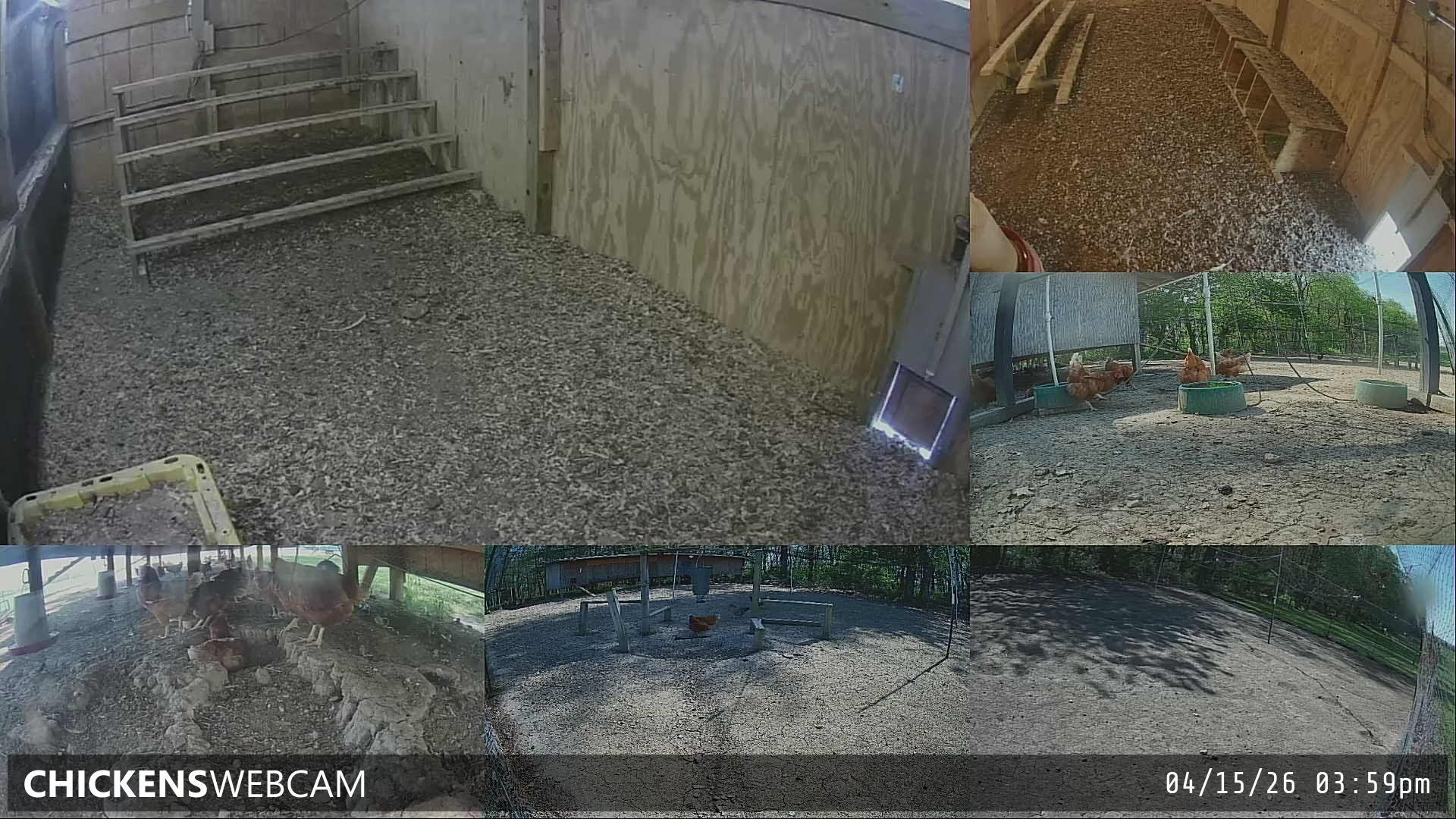 Twitch Stream Preview