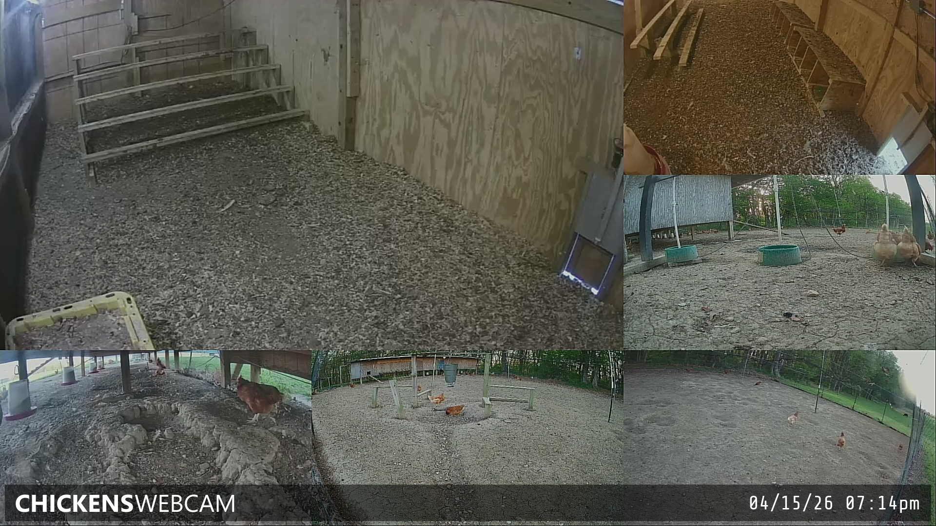 Twitch Stream Preview