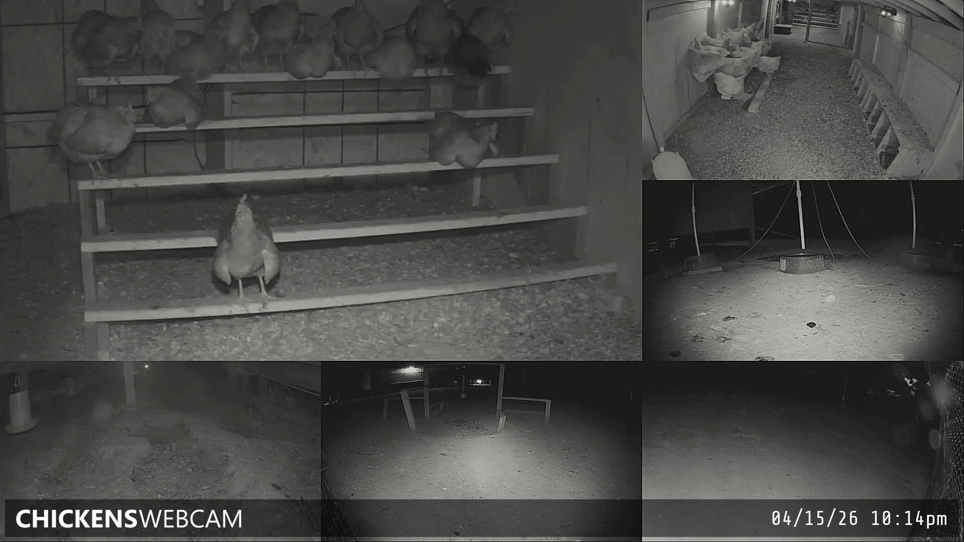 Twitch Stream Preview