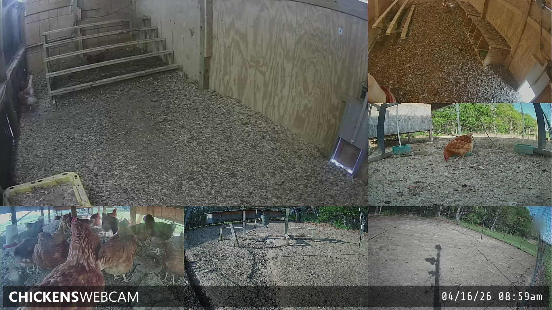 Twitch Stream Preview