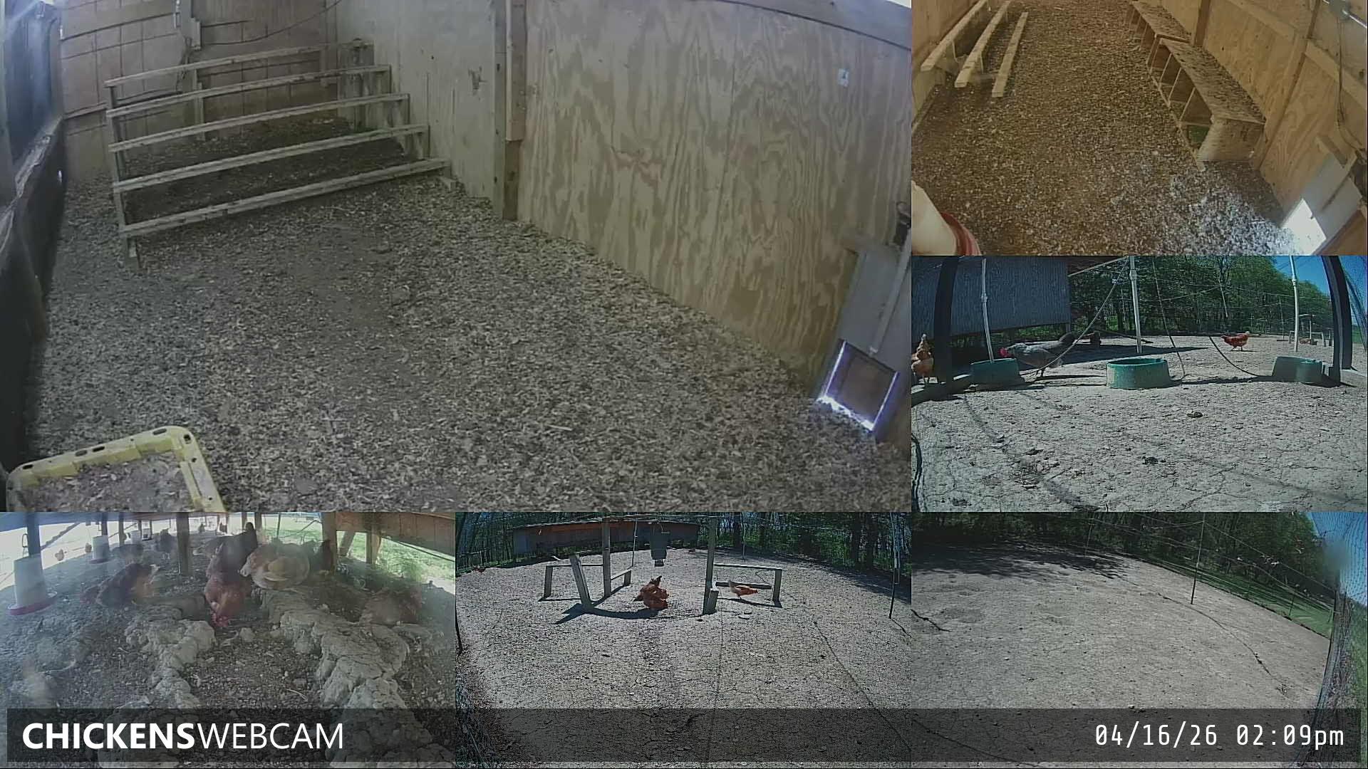 Twitch Stream Preview