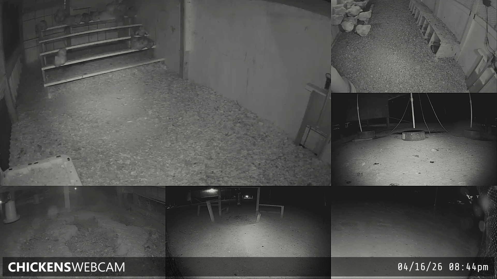 Twitch Stream Preview