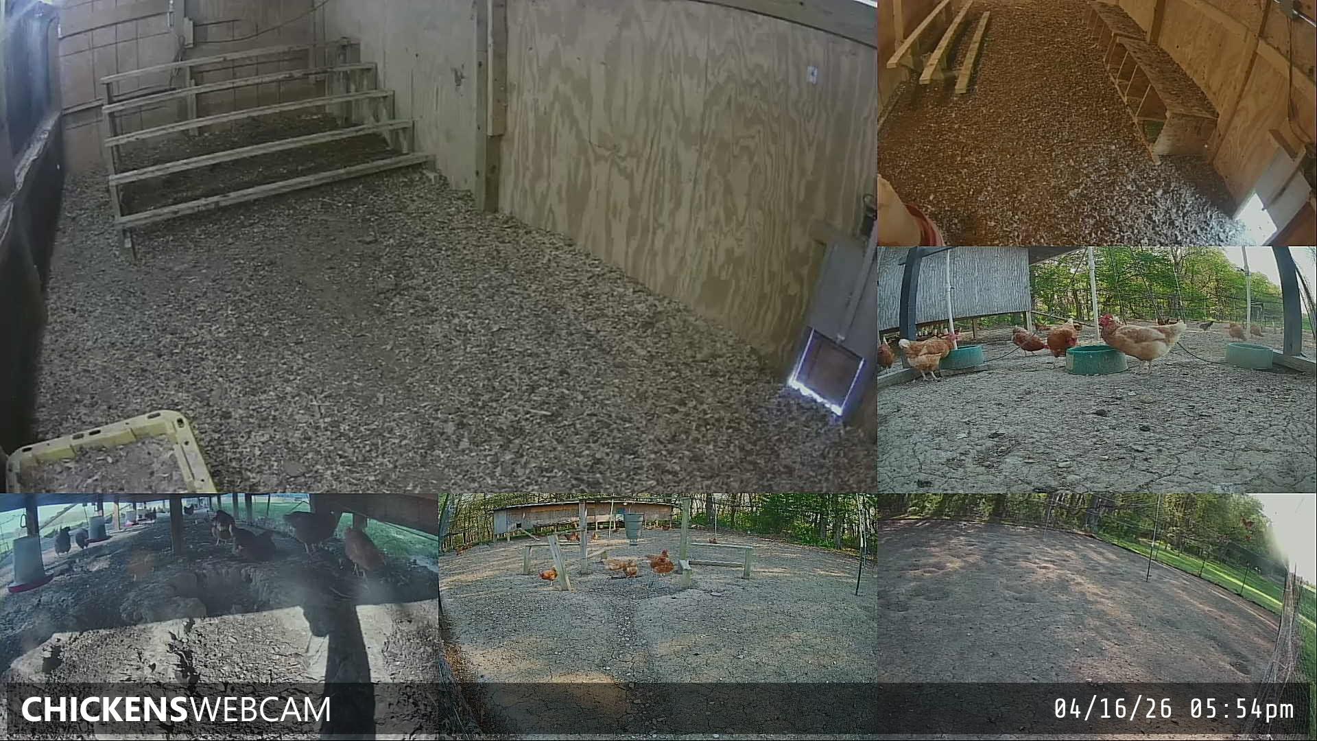 Twitch Stream Preview