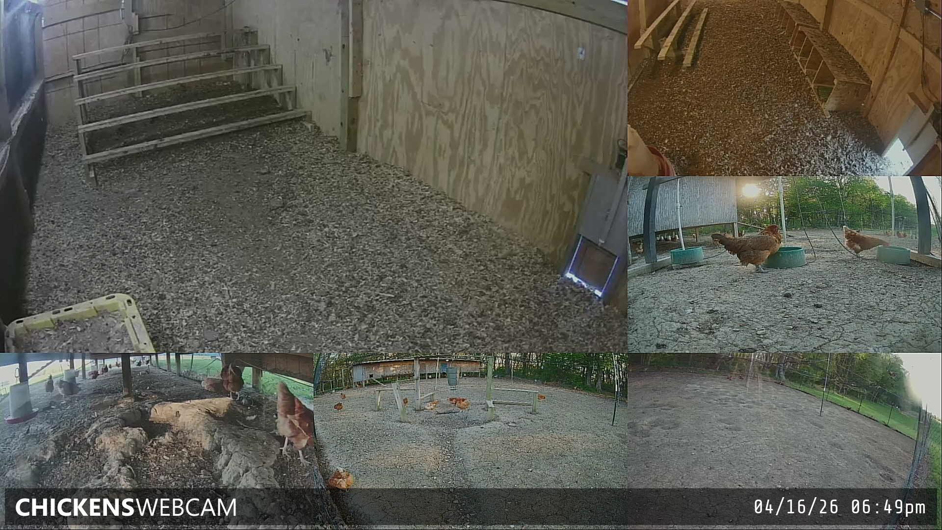 Twitch Stream Preview