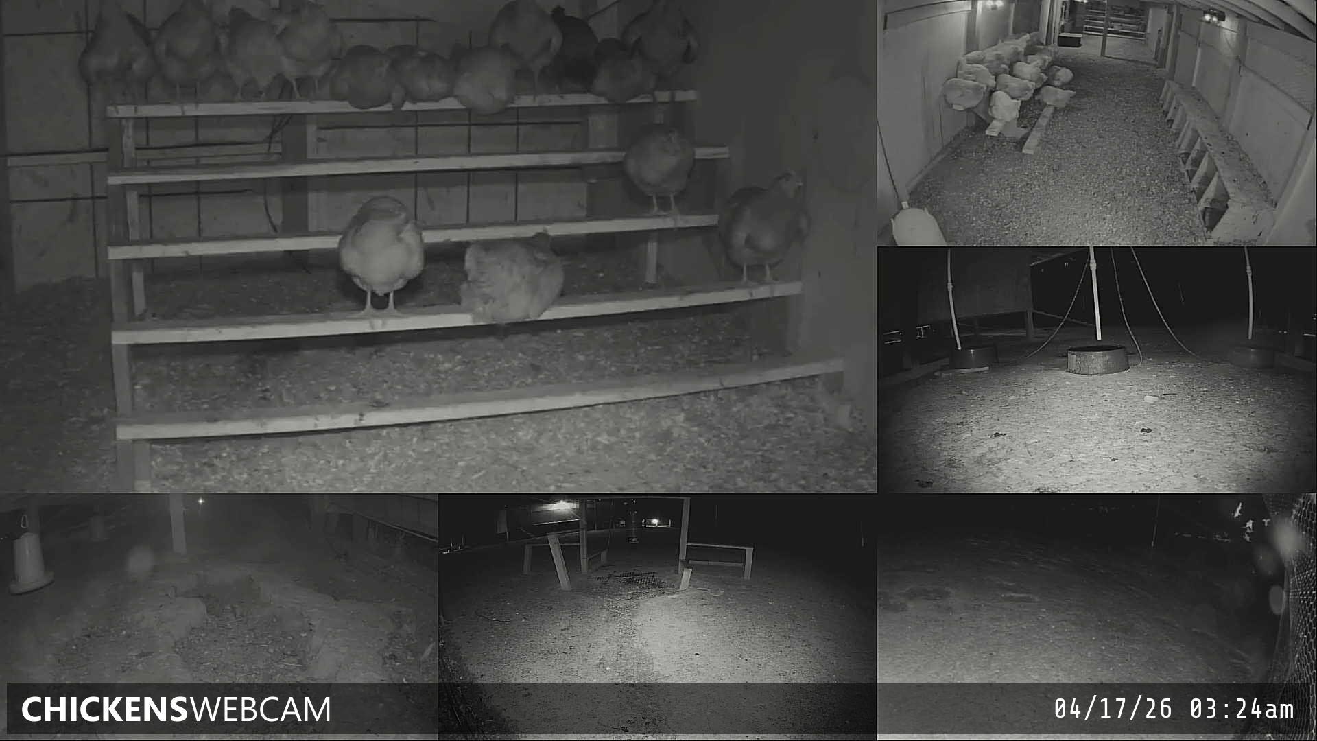 Twitch Stream Preview