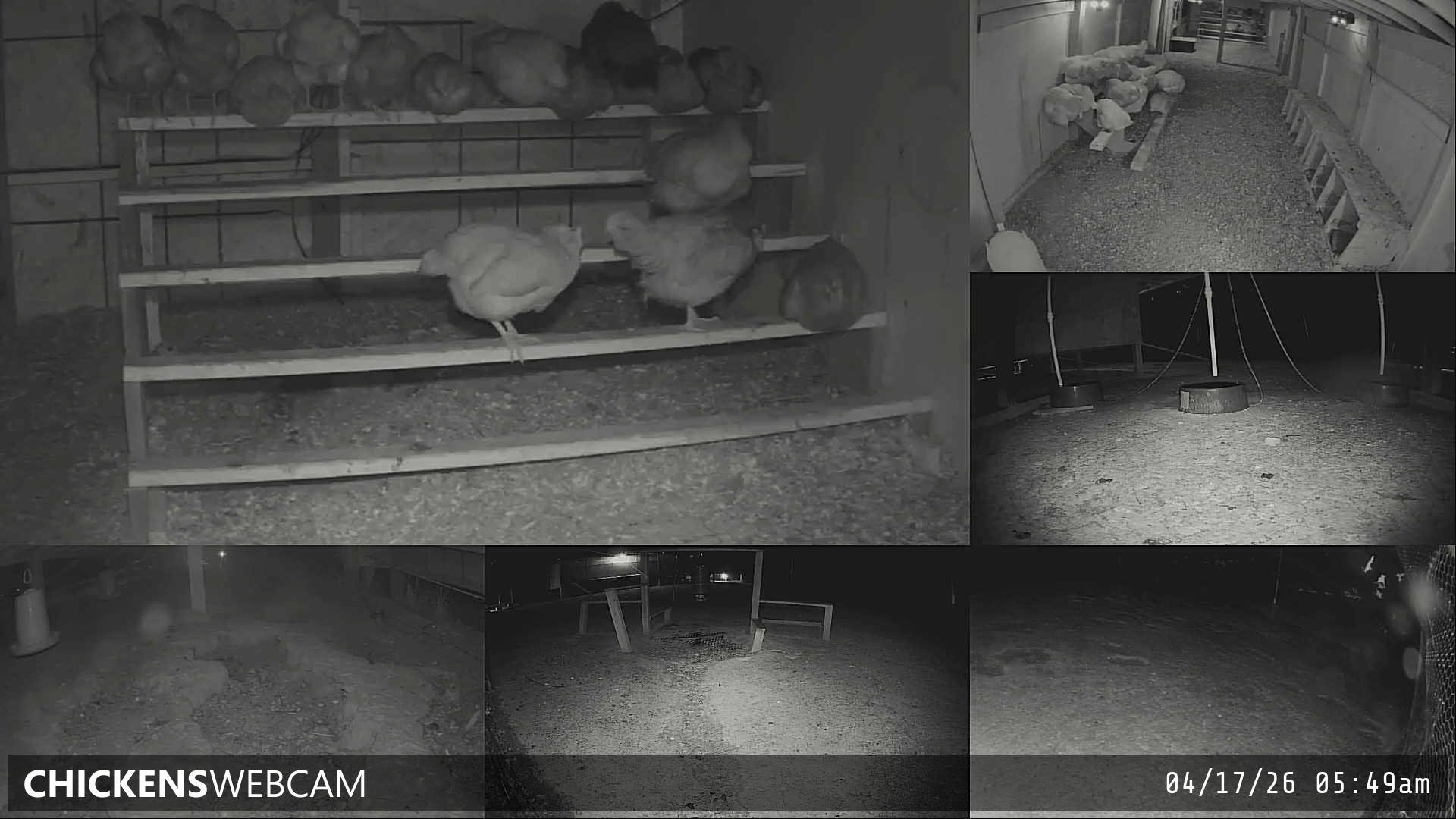 Twitch Stream Preview