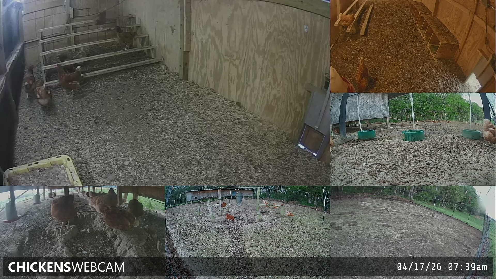 Twitch Stream Preview