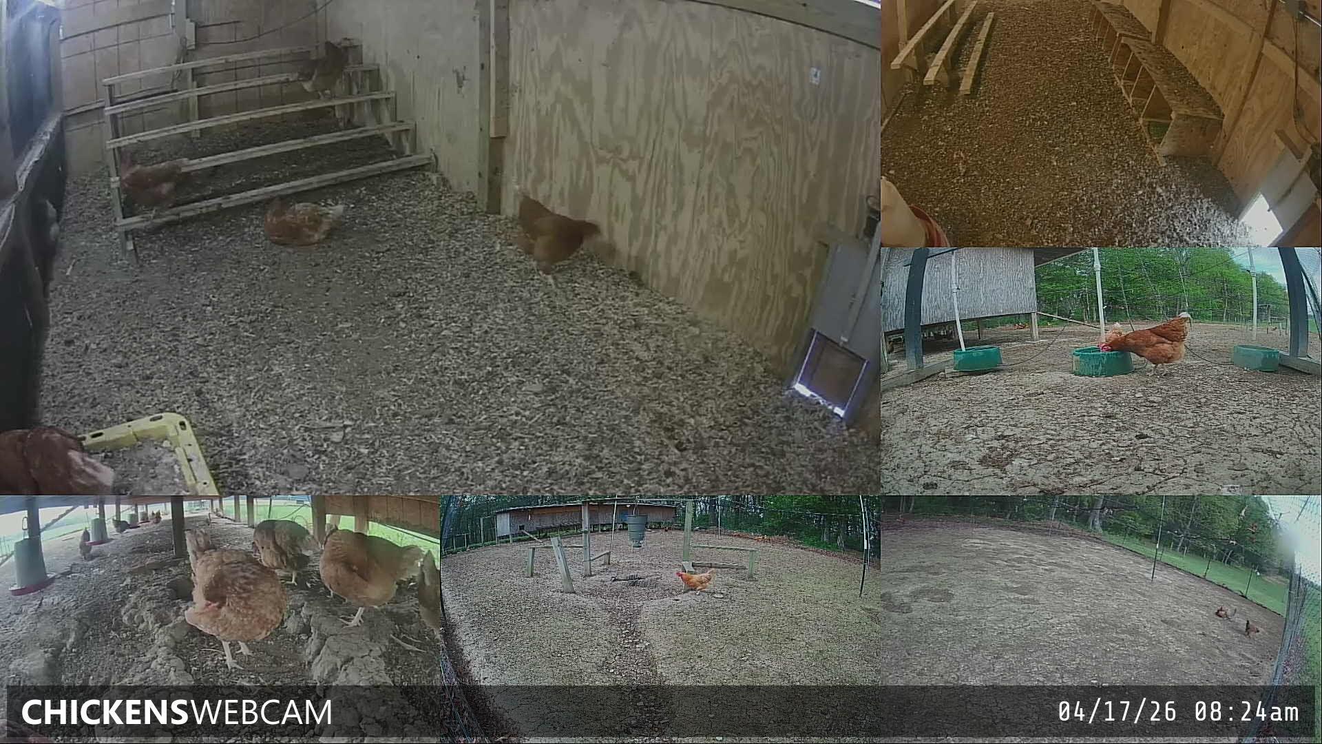 Twitch Stream Preview