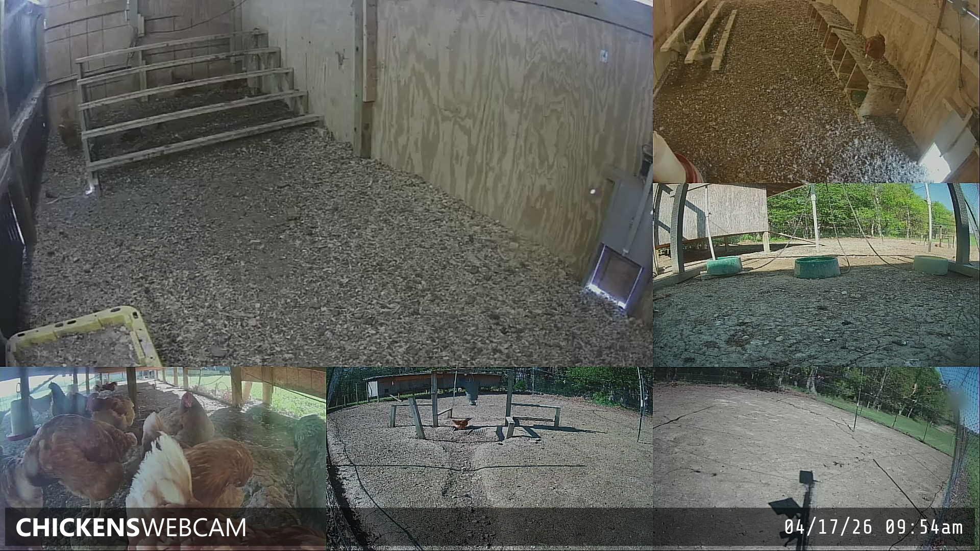 Twitch Stream Preview