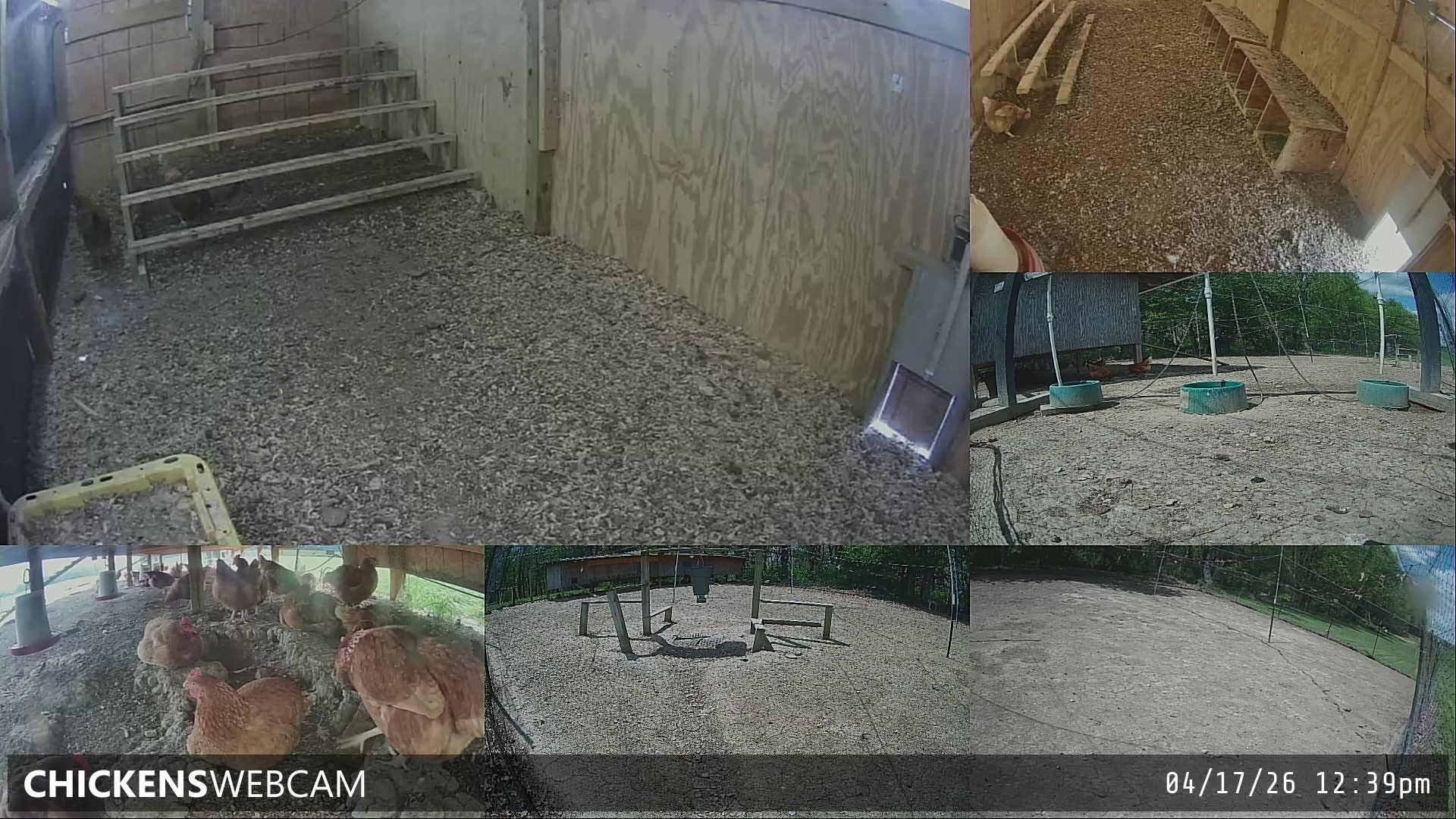 Twitch Stream Preview