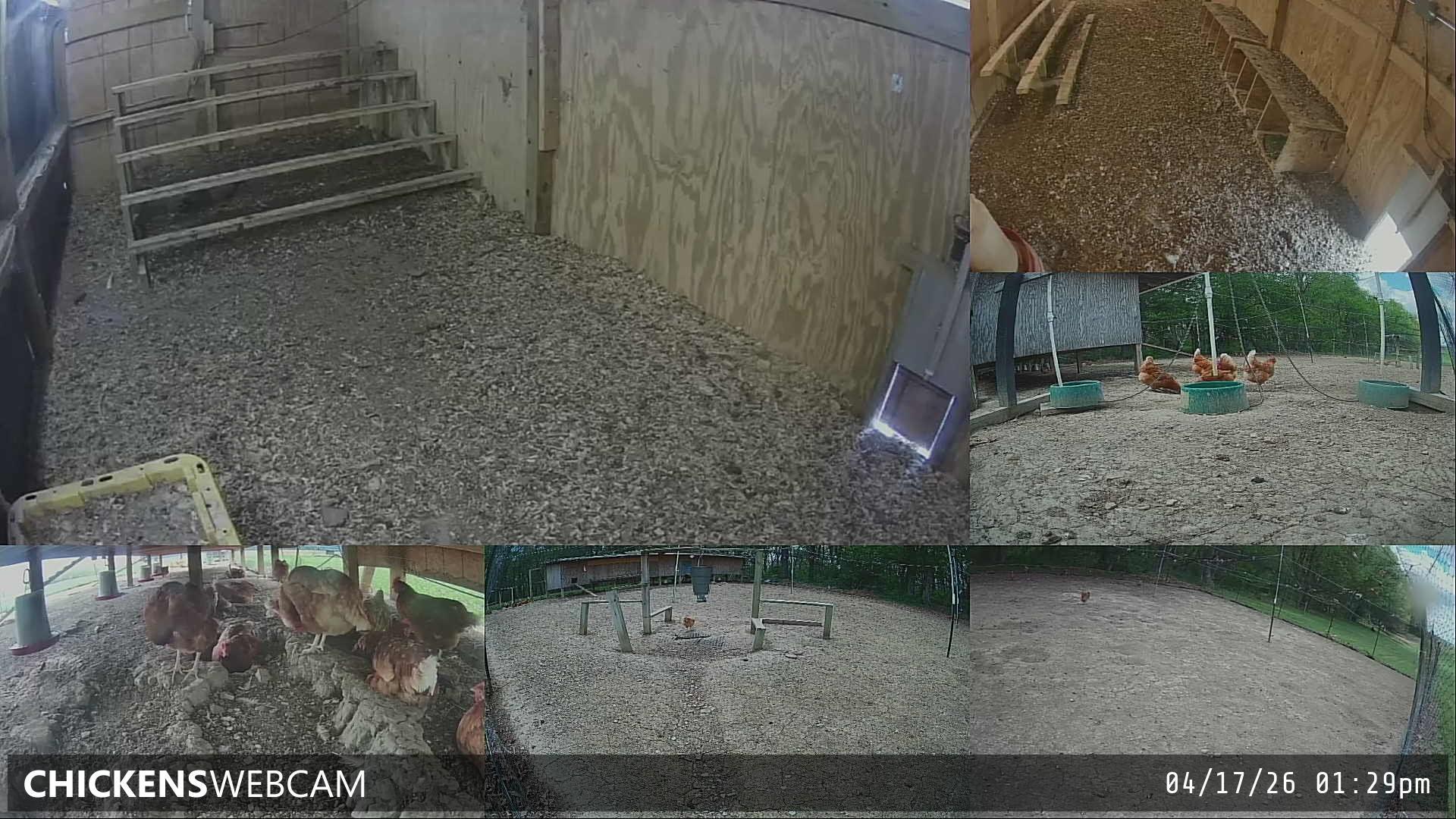 Twitch Stream Preview