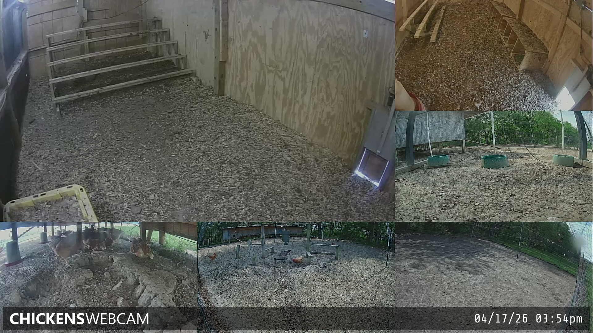 Twitch Stream Preview