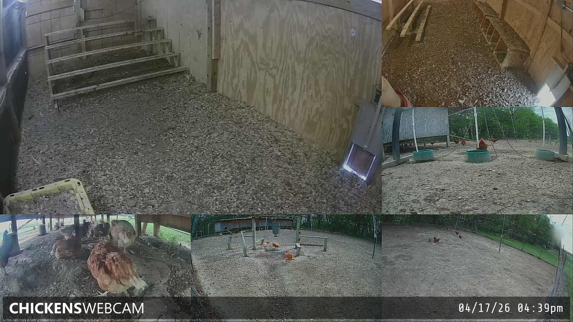 Twitch Stream Preview