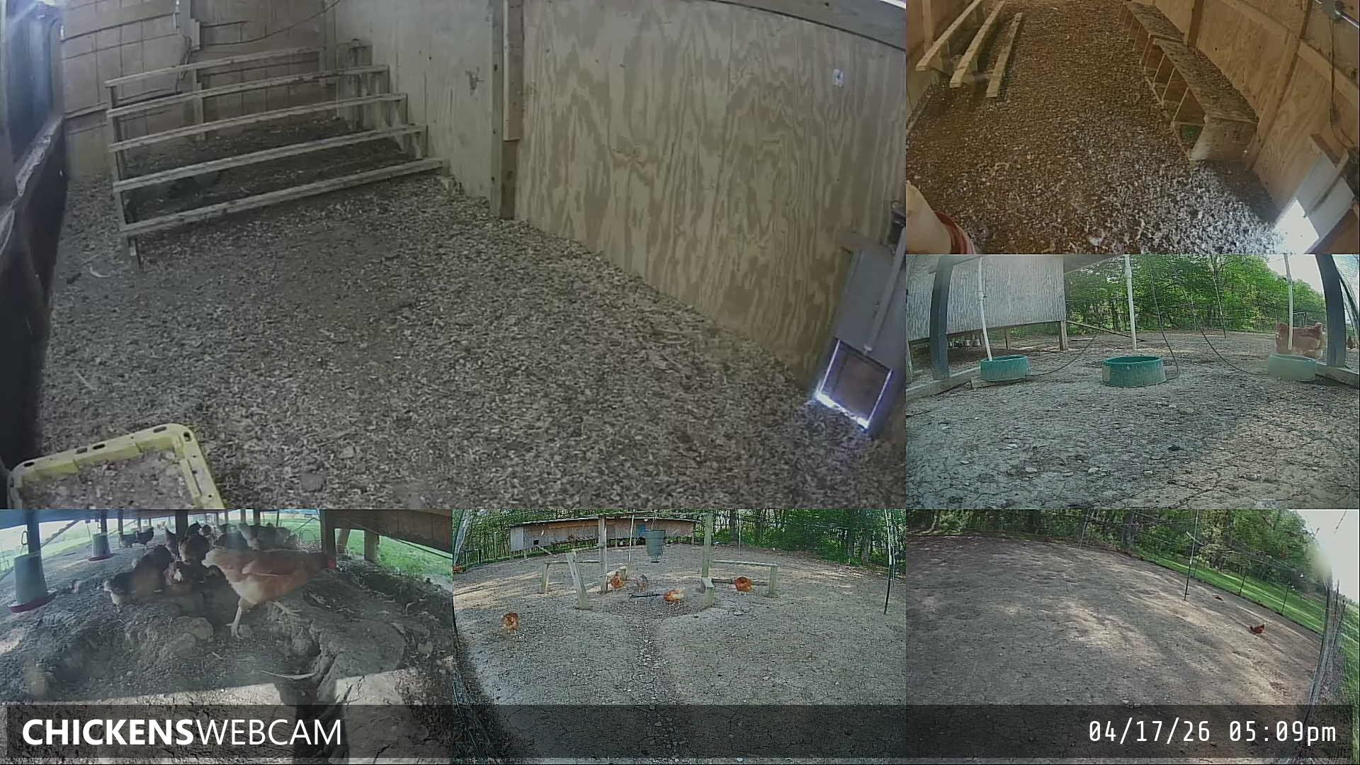 Twitch Stream Preview