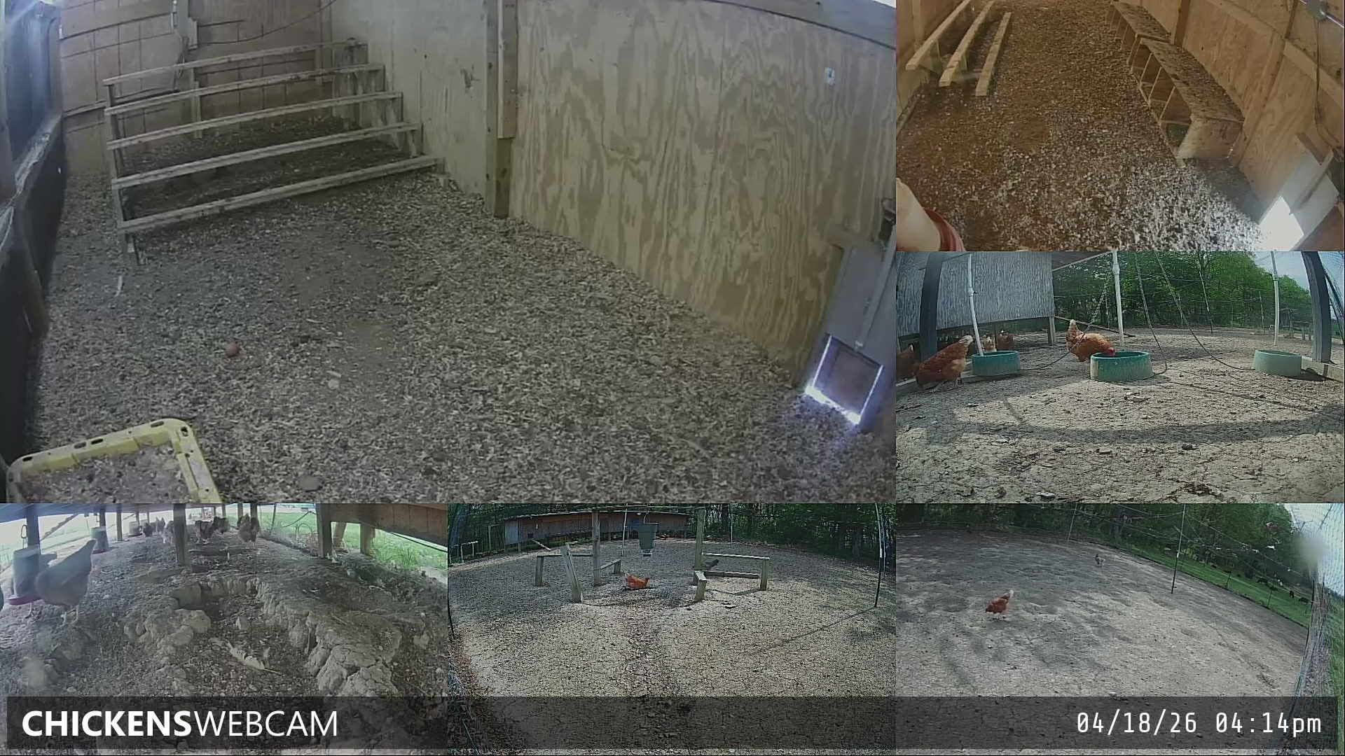 Twitch Stream Preview