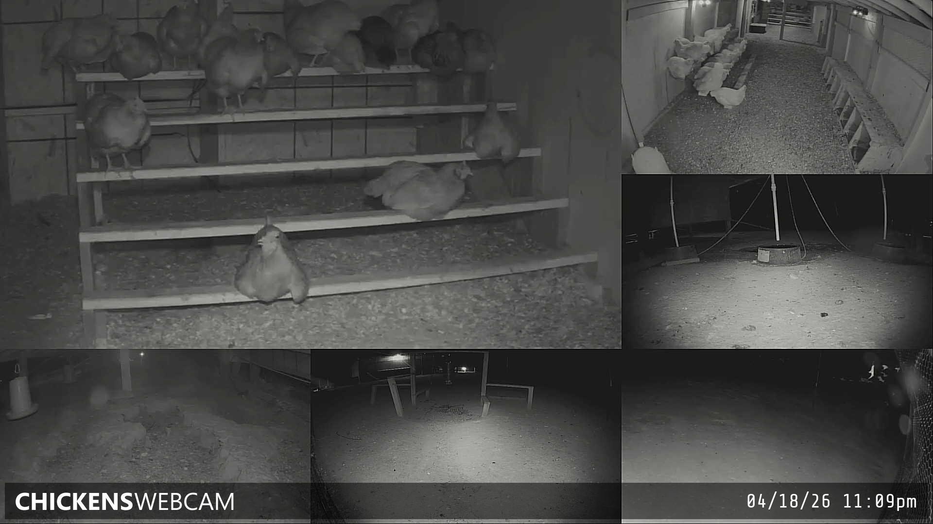 Twitch Stream Preview