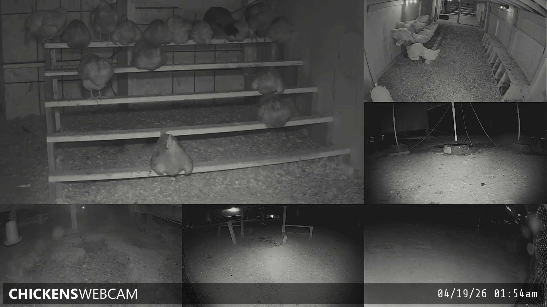 Twitch Stream Preview