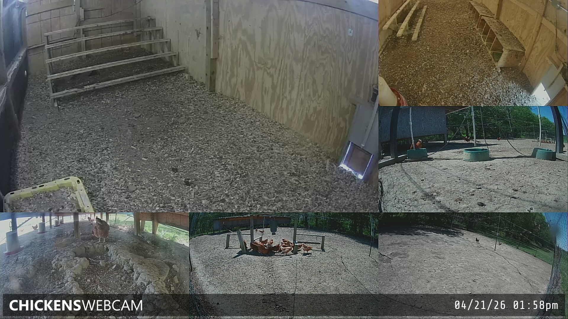 Twitch Stream Preview