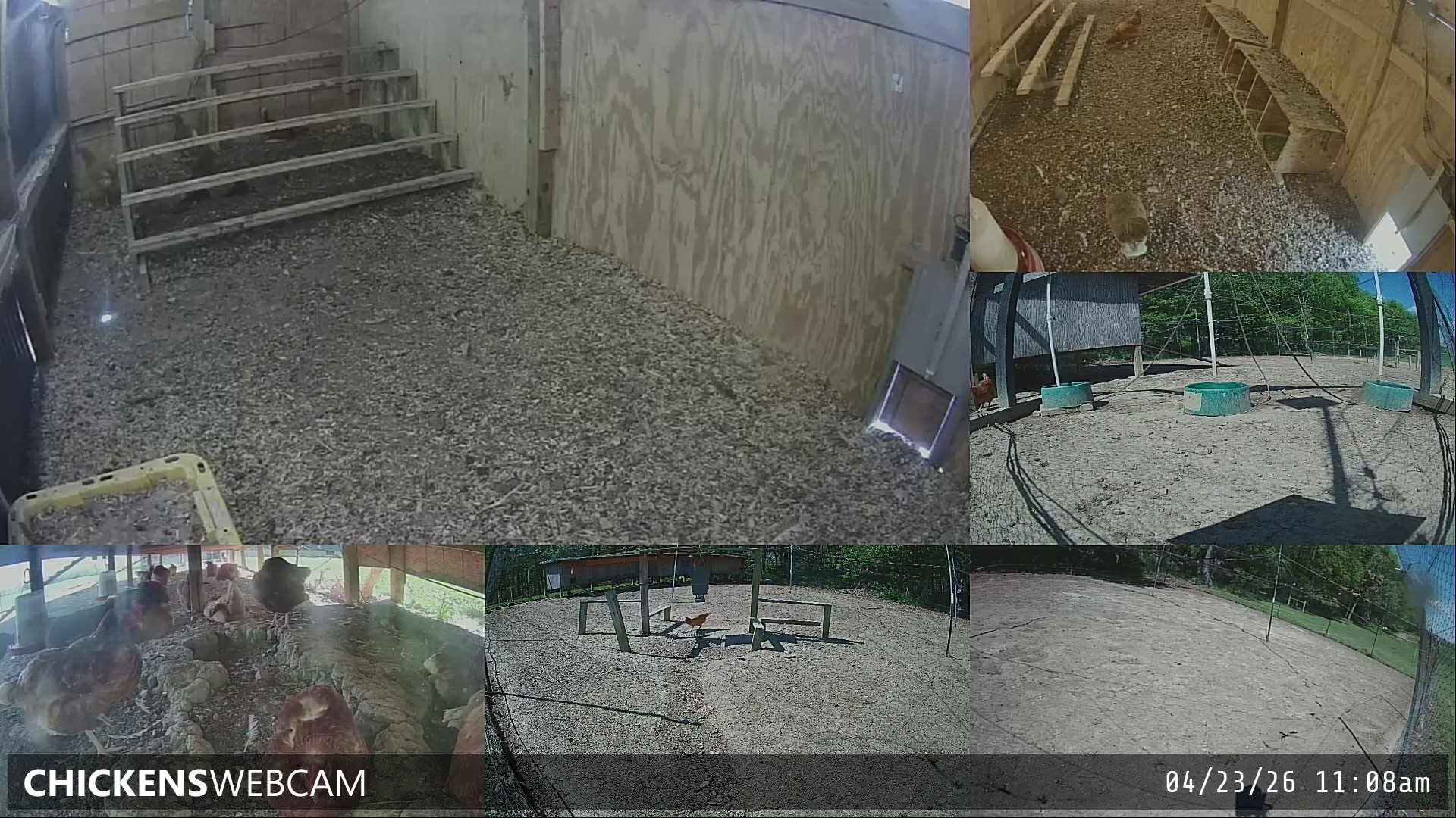 Twitch Stream Preview