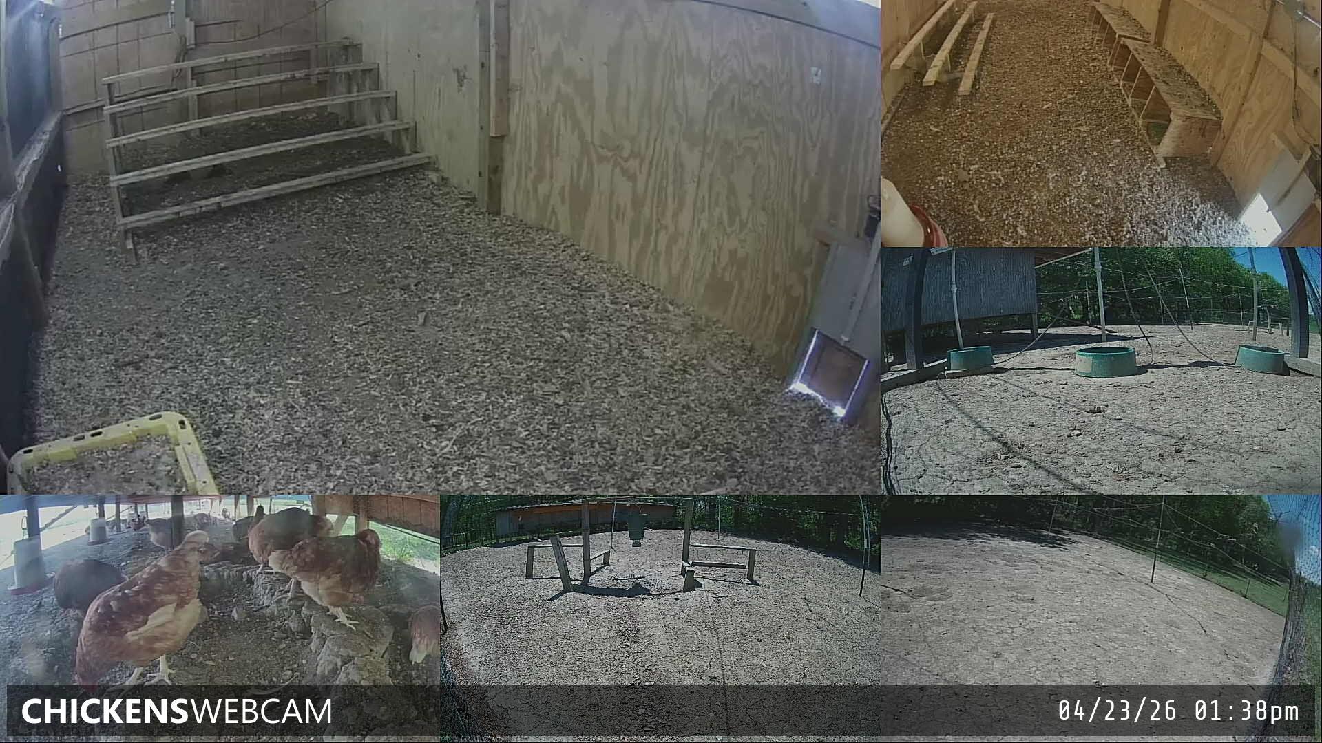 Twitch Stream Preview