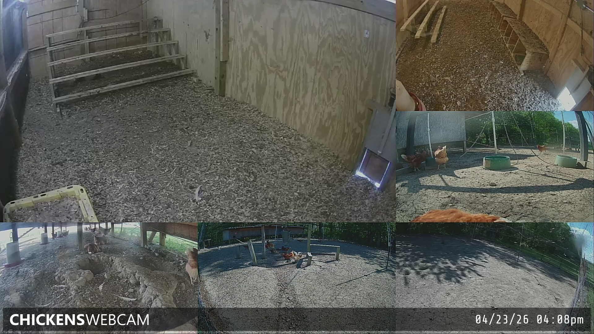 Twitch Stream Preview