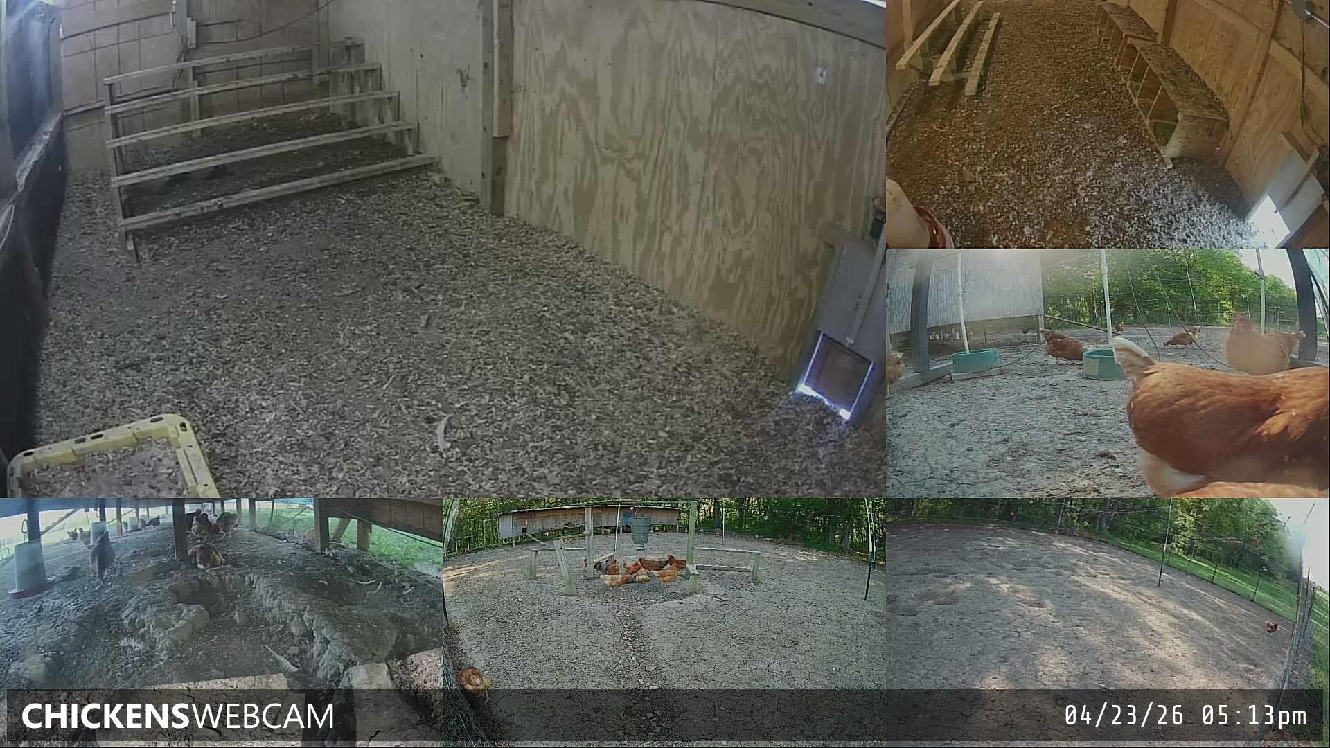 Twitch Stream Preview