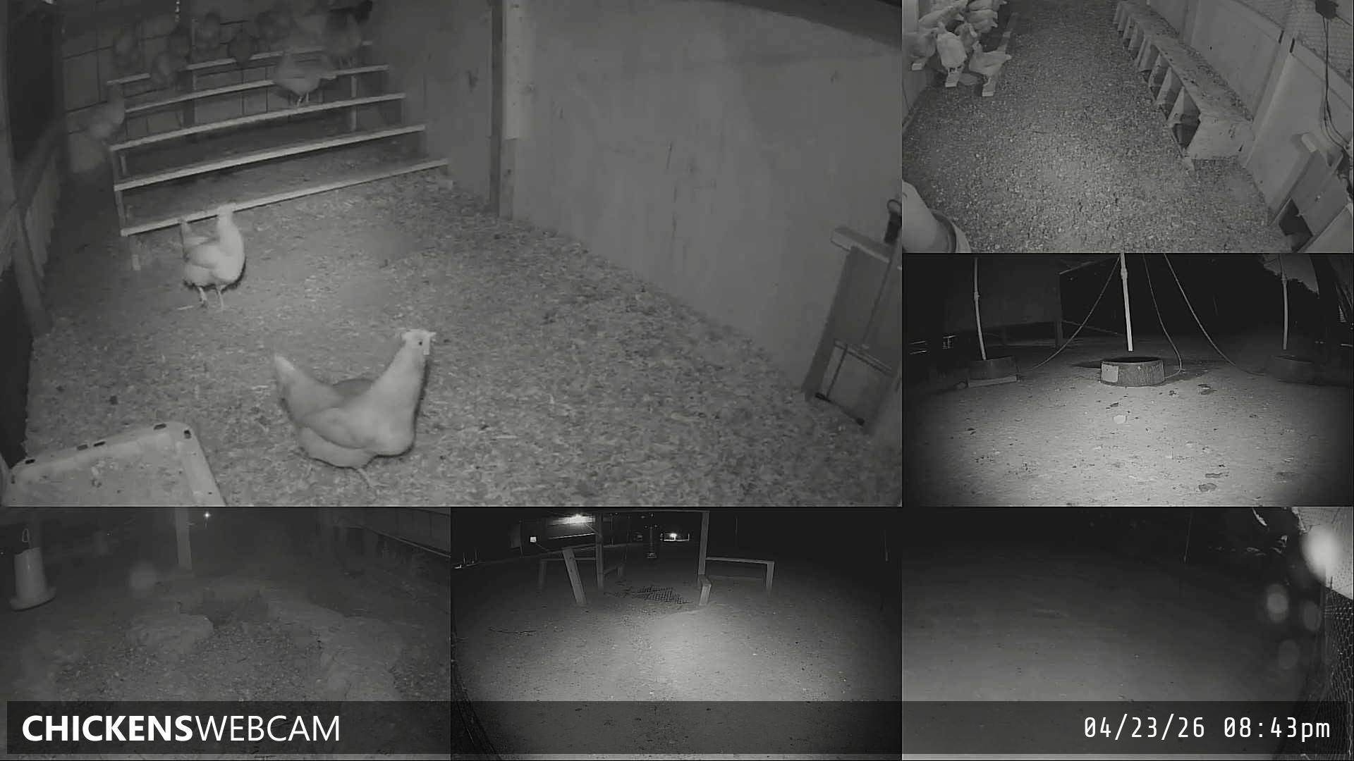 Twitch Stream Preview