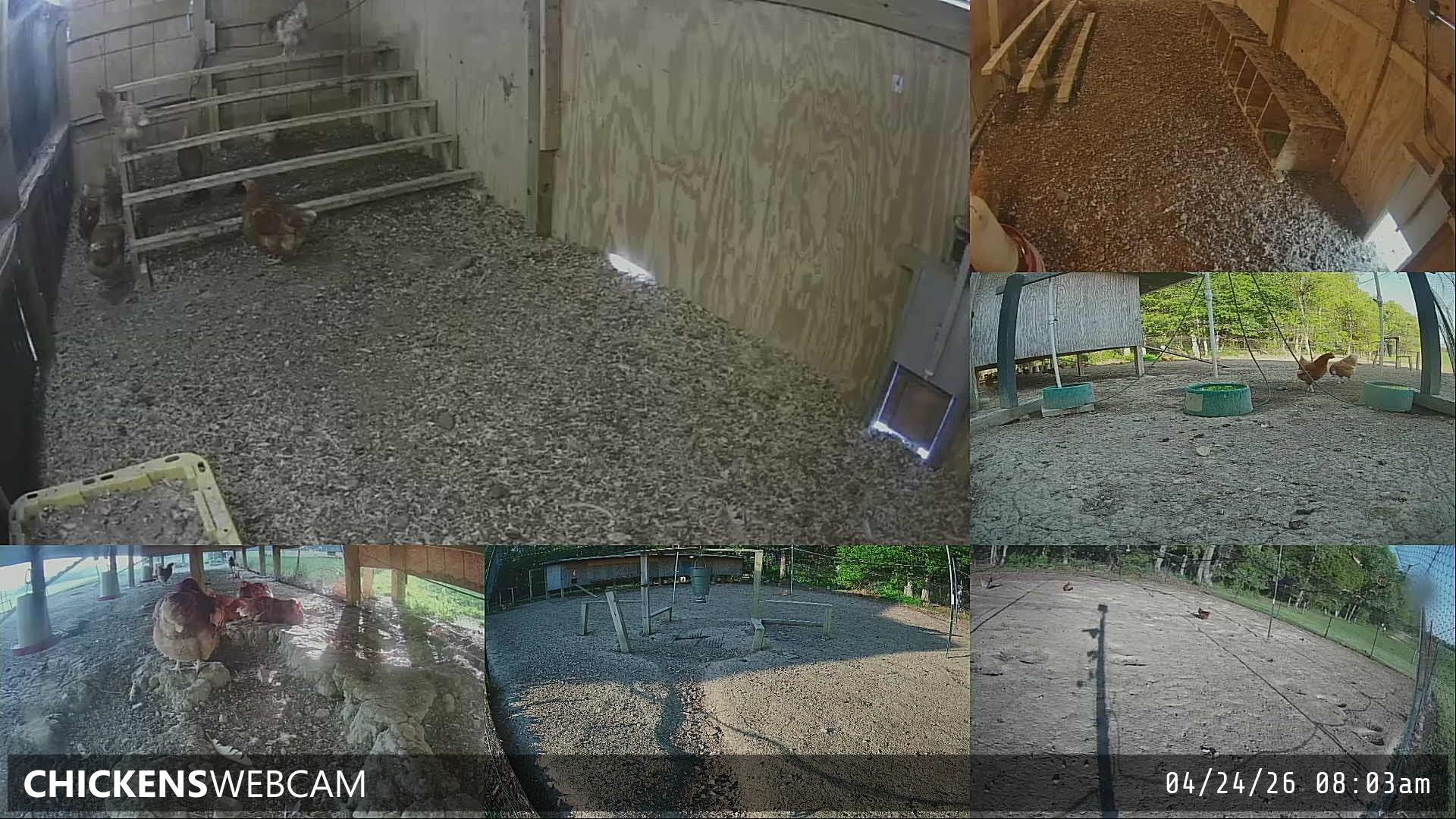 Twitch Stream Preview