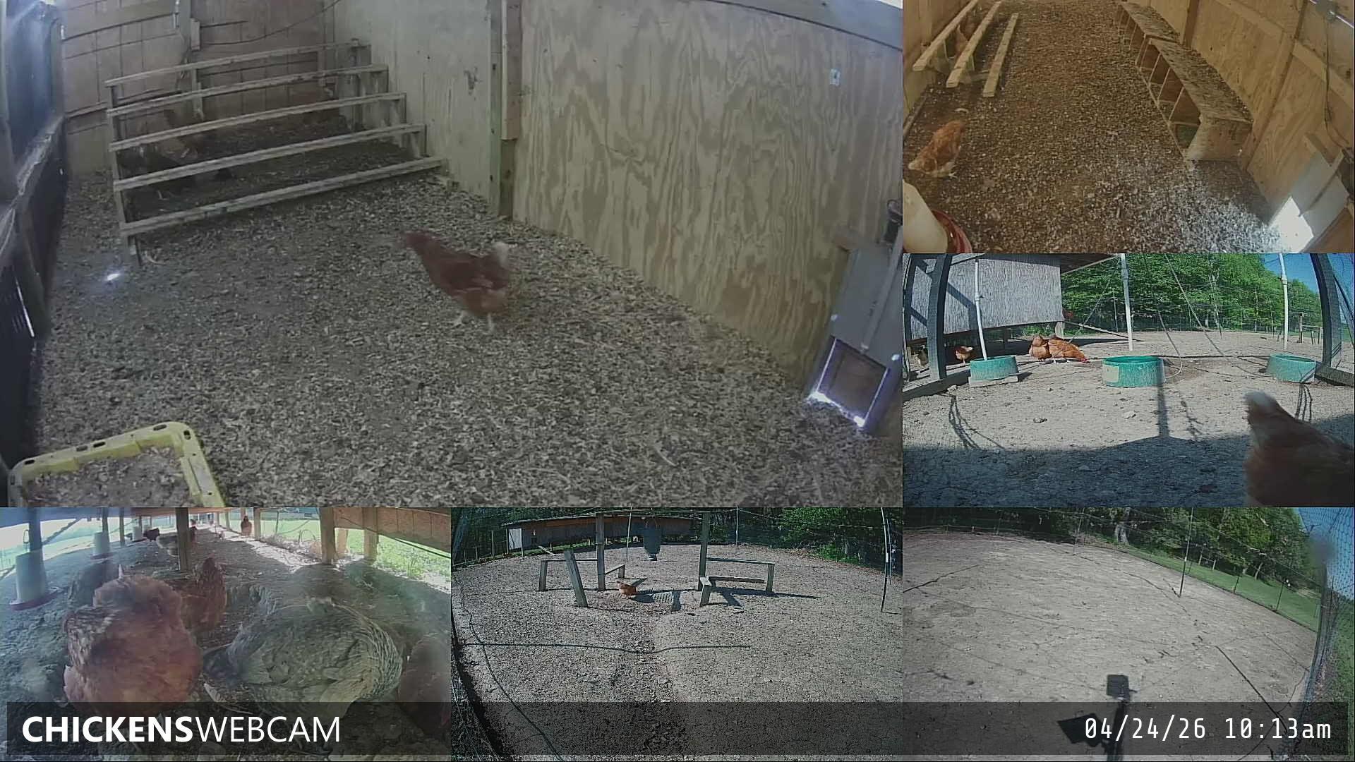 Twitch Stream Preview