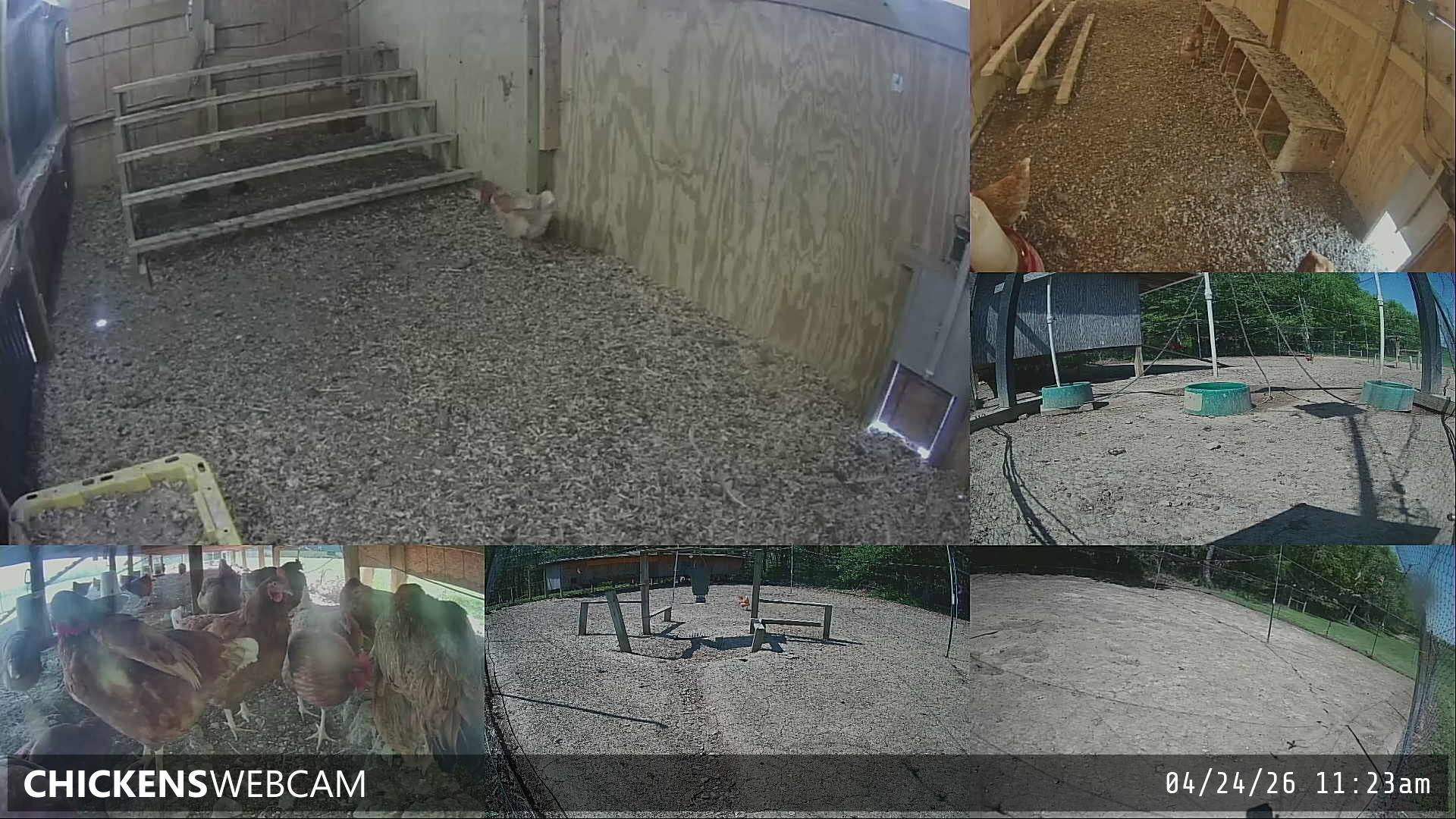 Twitch Stream Preview