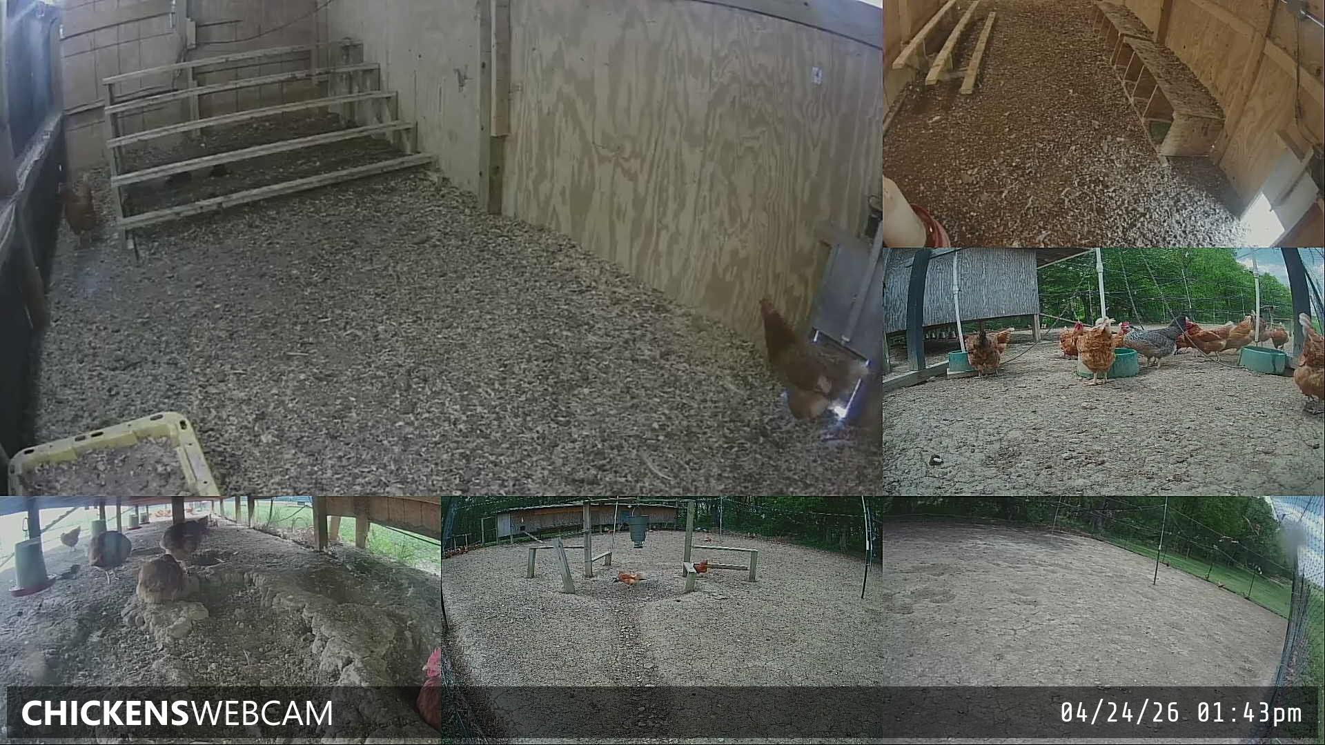 Twitch Stream Preview