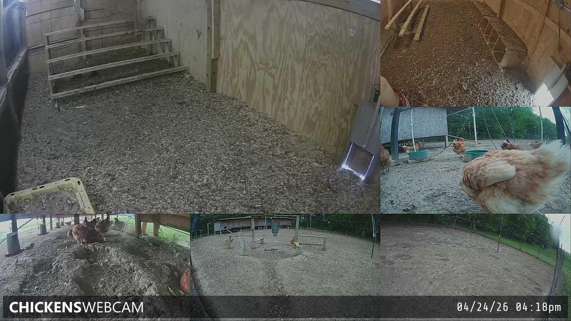 Twitch Stream Preview