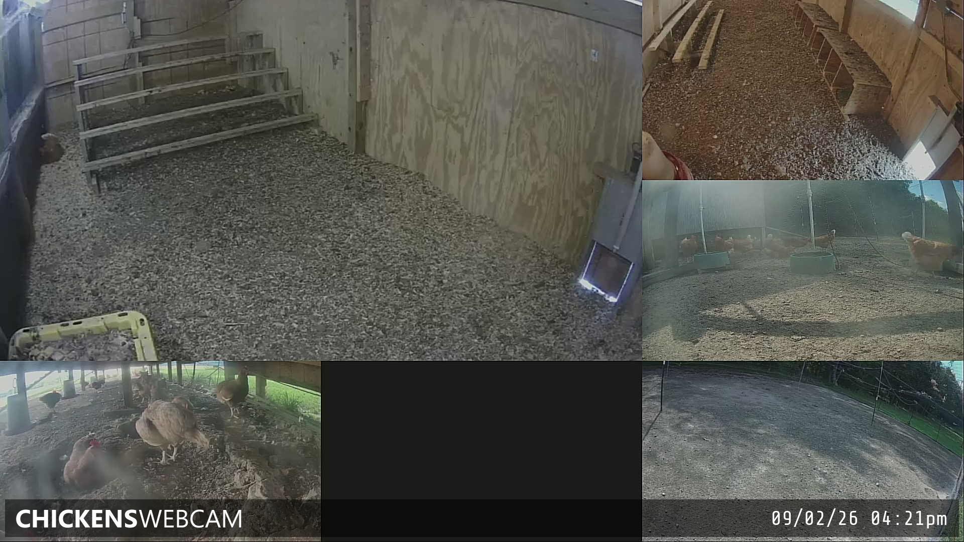 Twitch Stream Preview
