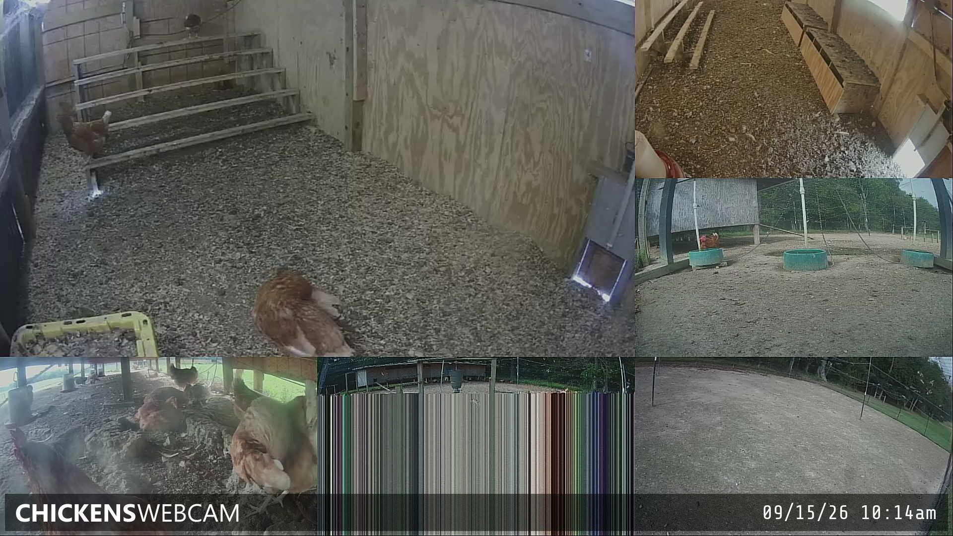 Twitch Stream Preview